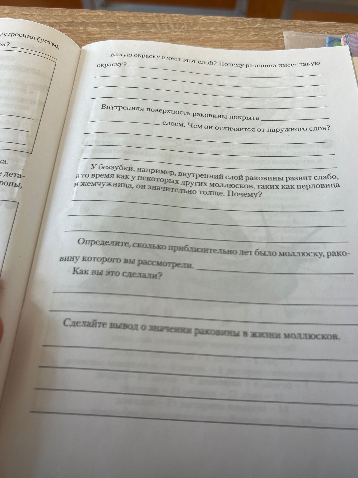 Фото задания: Какую окраску имеет этот слой? Почему раковина имеет такую окраску? Внутренняя поверхность раковины покрыта ______ слоем. Чем…