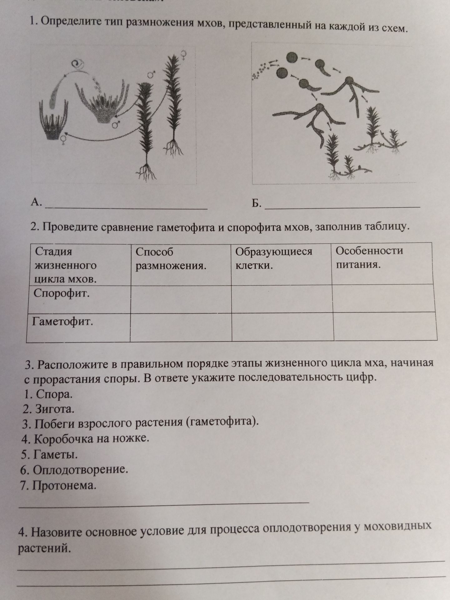 Фото задания: 1. Определите тип размножения мхов, представленный на каждой из схем: А, Б.