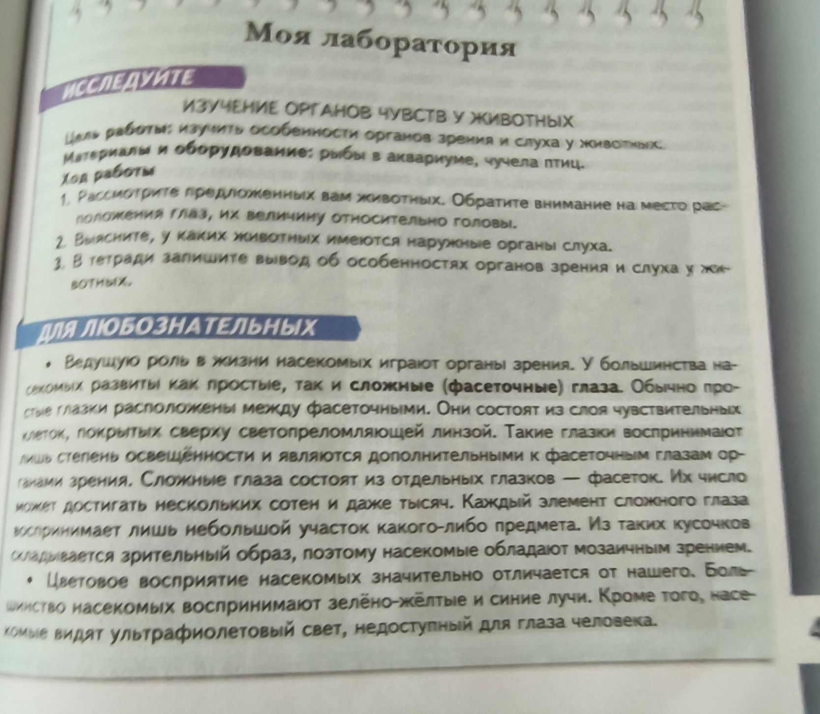 Фото задания: Изучение органов чувств у животных. Цель работы: изучить особенности органов зрения и слуха у животных. Материалы и…