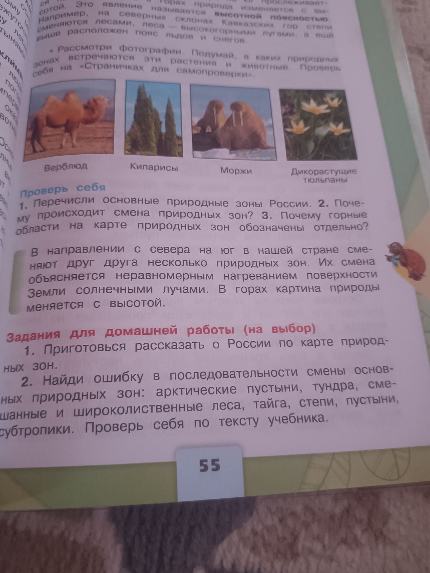 Фото задания: 2. Найди ошибку в последовательности смены основных природных зон: арктические пустыни, тундра, смешанные и…