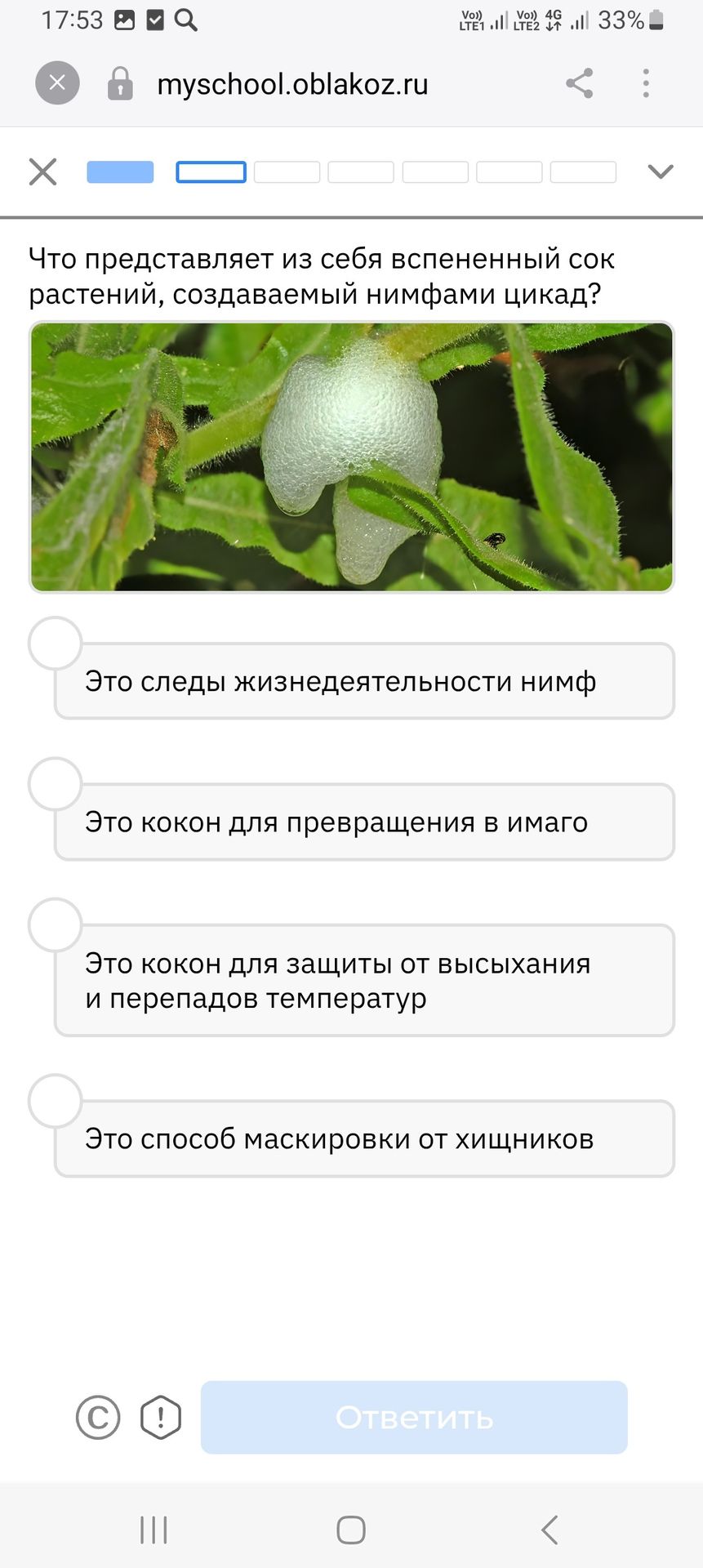 Фото задания: Что представляет из себя вспененный сок растений, создаваемый нимфами цикад? Выберите один вариант: 1) Это следы…