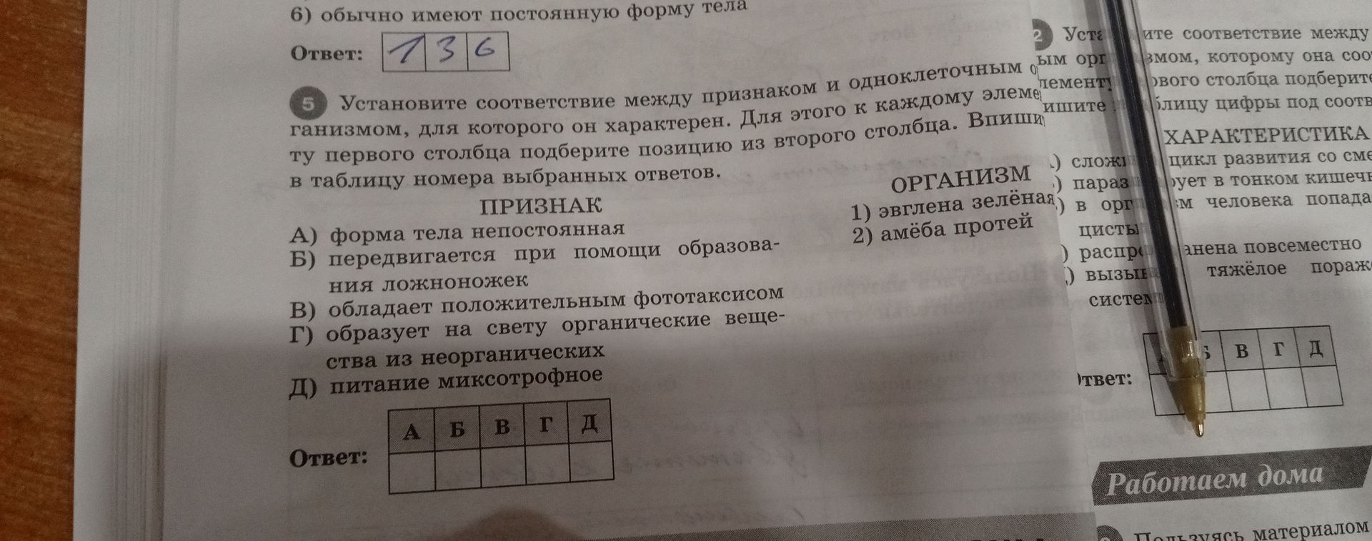 Фото задания: 5. Установите соответствие между признаком и одноклеточным организмом, для которого он характерен. Для этого к каждому…