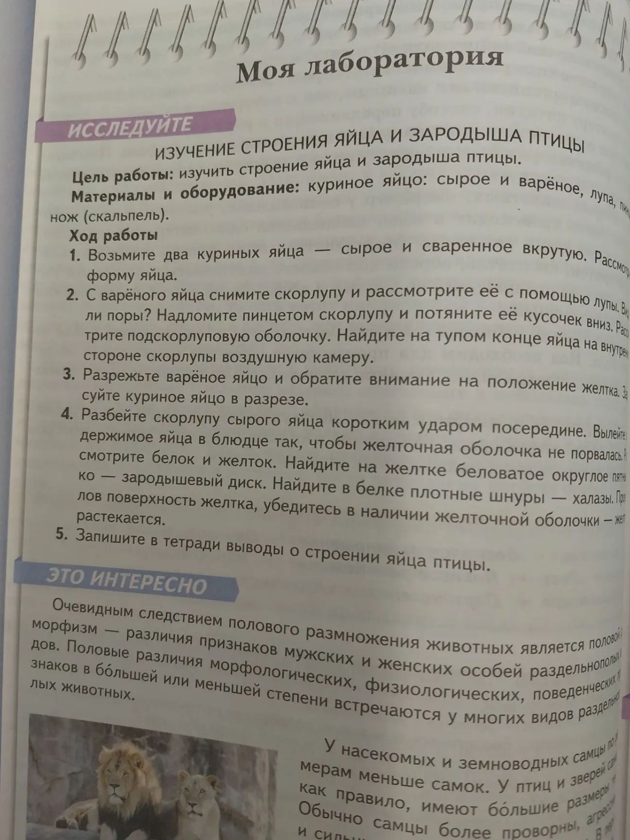 Фото задания: Лабораторная работа «Изучение строения яйца и зародыша птицы». Цель: изучить строение яйца и зародыша птицы. Выполните ход…