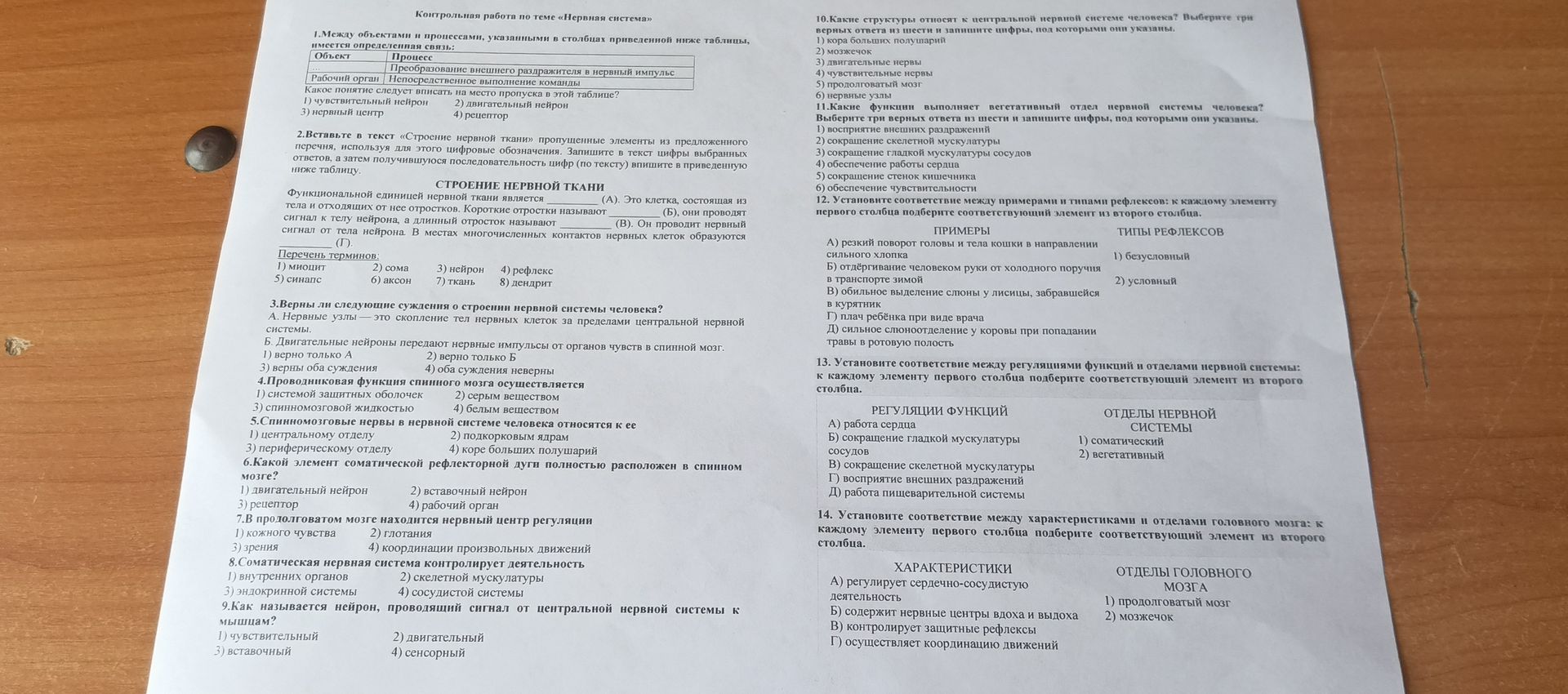 Фото задания: 2. Вставьте в текст «Строение нервной ткани» пропущенные элементы из предложенного перечня, используя для этого цифровые…
