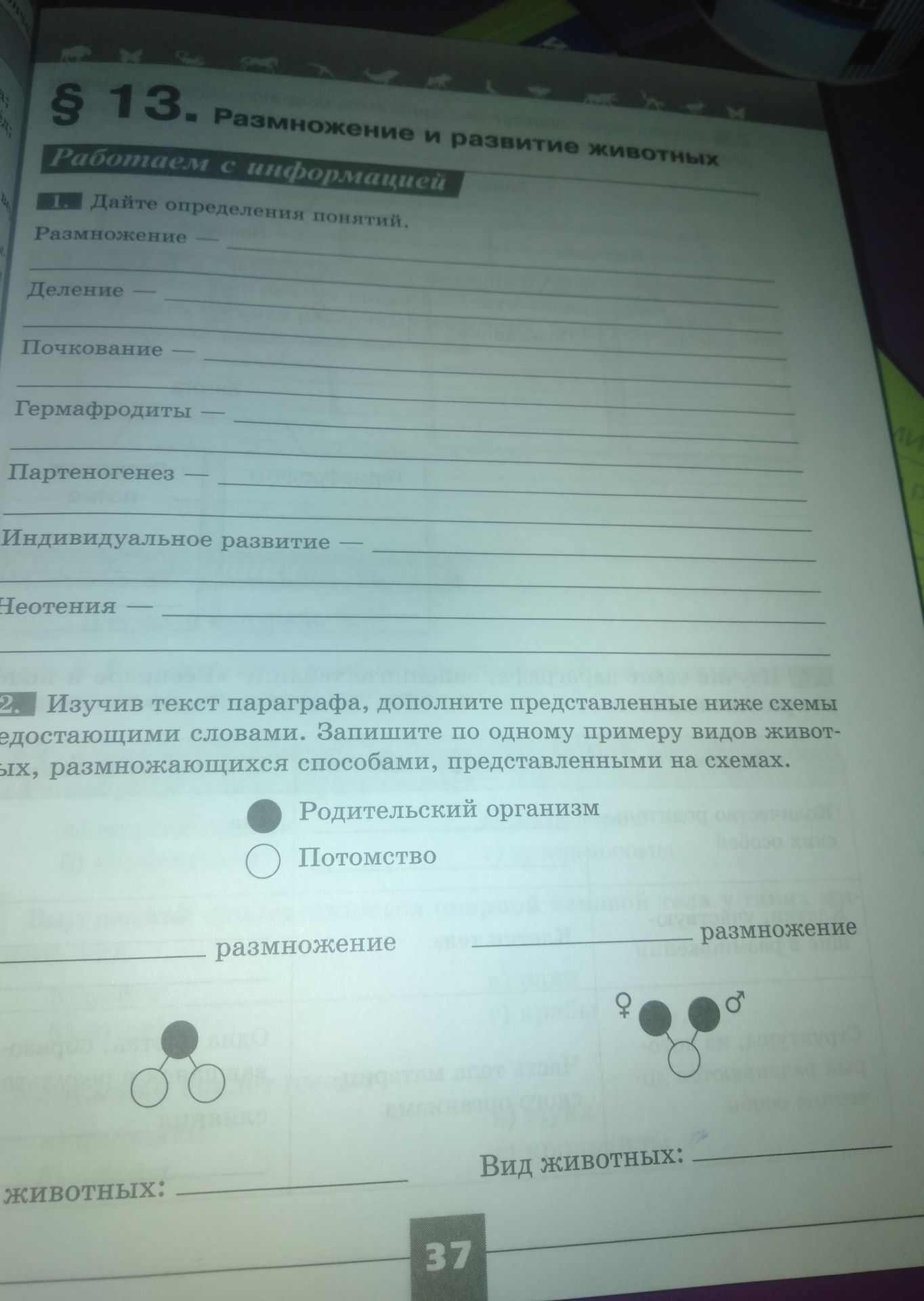 Фото задания: 1. Дайте определения понятий: размножение, деление, почкование, гермафродиты, партеногенез, индивидуальное развитие, неотения.