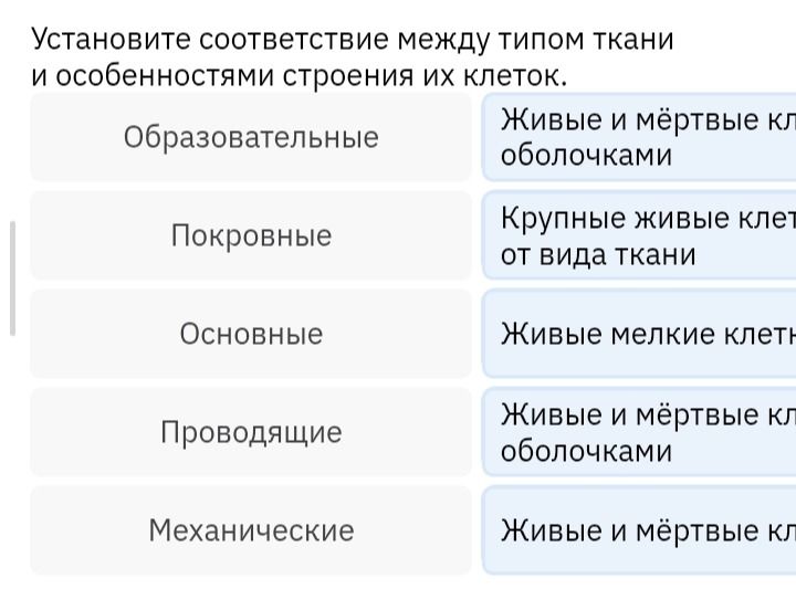 Фото задания: Установите соответствие между типом ткани и особенностями строения их клеток: образовательные; покровные; основные;…