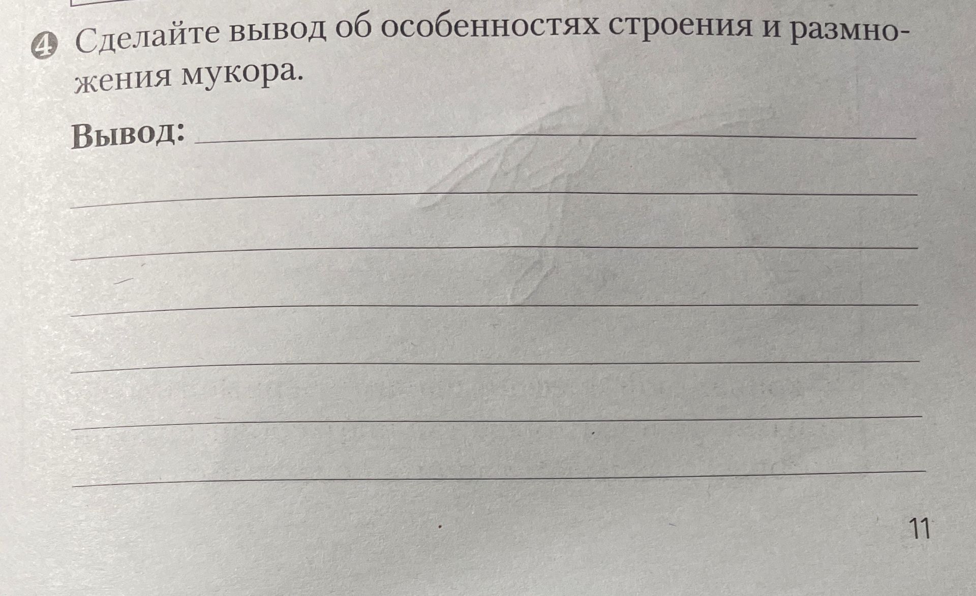 Фото задания: 4. Сделайте вывод об особенностях строения и размножения мукора.