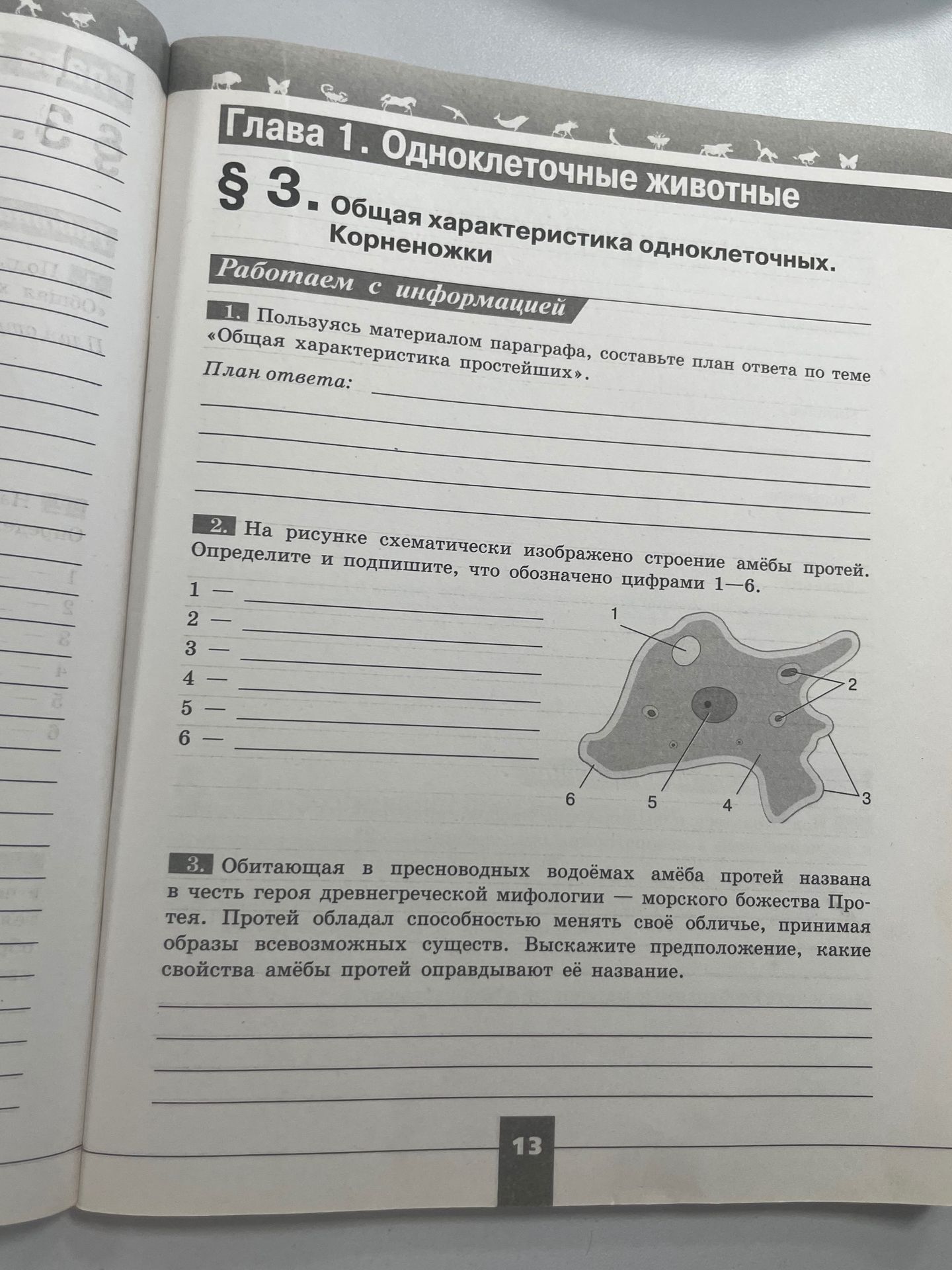 Фото задания: 3. Обитающая в пресноводных водоёмах амёба протей названа в честь героя древнегреческой мифологии — морского божества Протея.…