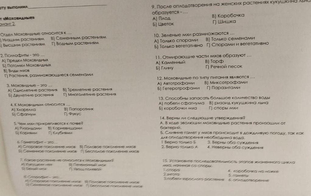 Фото задания: 4. К моховидным относится … А) хлорелла; Б) сфагнум; В) папоротник; Г) фукус.