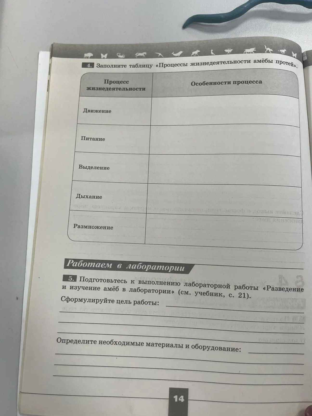 Фото задания: 5. Подготовьтесь к выполнению лабораторной работы «Разведение и изучение амёб в лаборатории» (см. учебник, с. 21).…