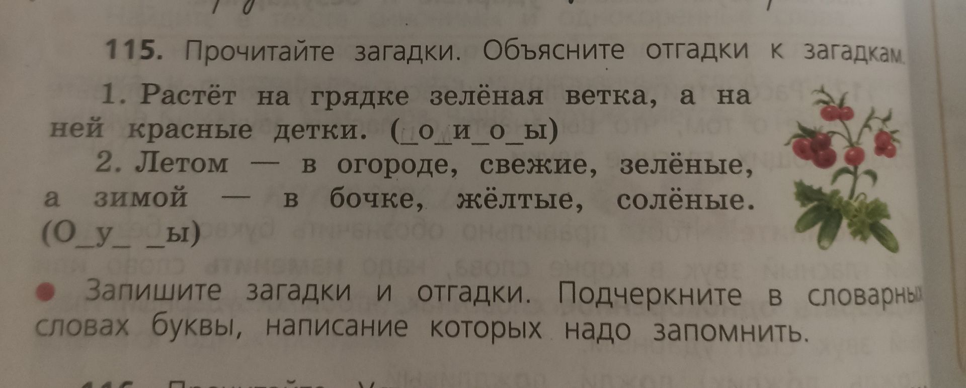 Фото задания: 115. Прочитайте загадки. Объясните отгадки к загадкам. 1. Растёт на грядке зелёная ветка, а на ней красные детки. ( _о_и_о_ы)…