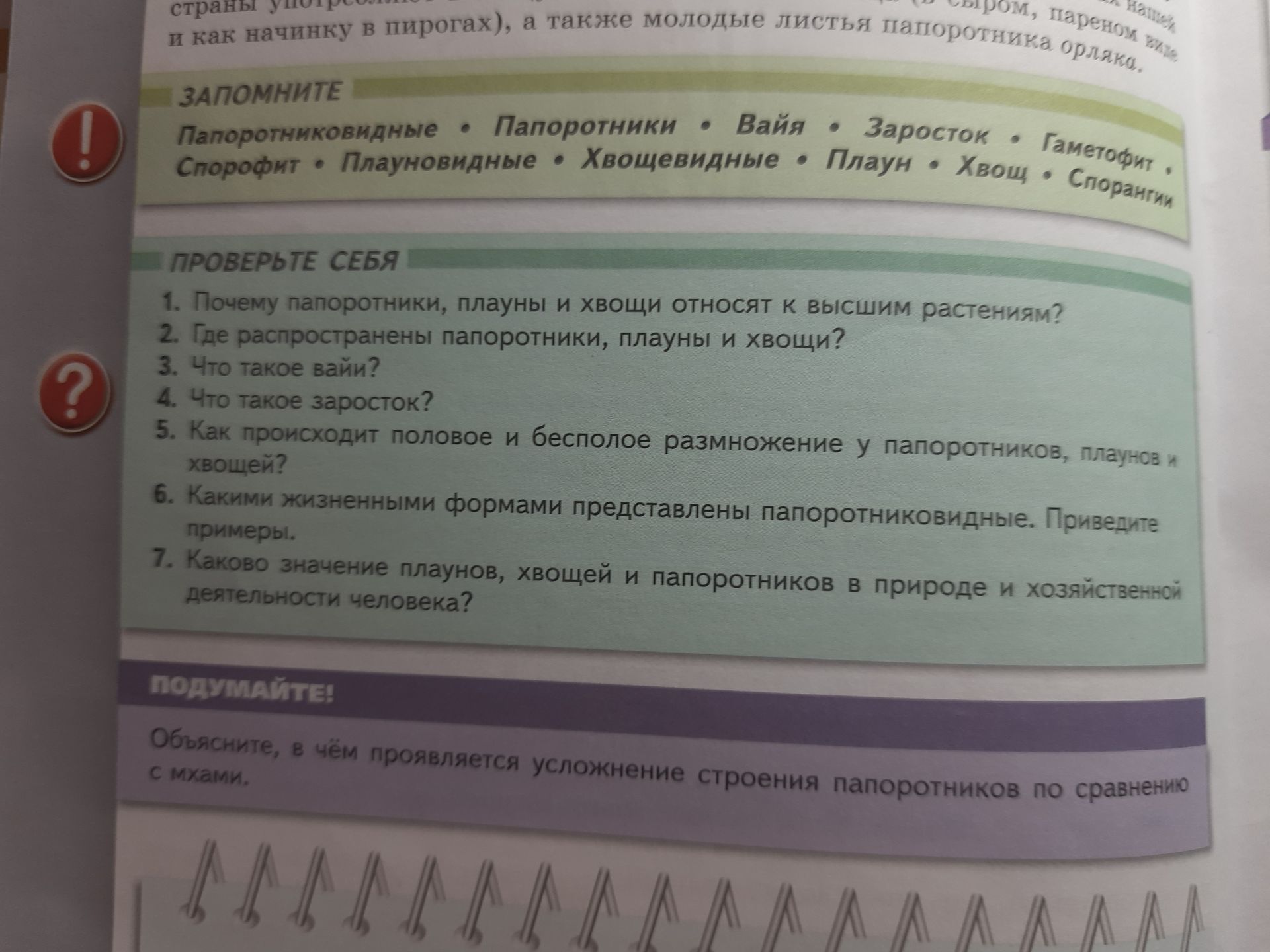 Фото задания: Объясните, в чём проявляется усложнение строения папоротников по сравнению с мхами.