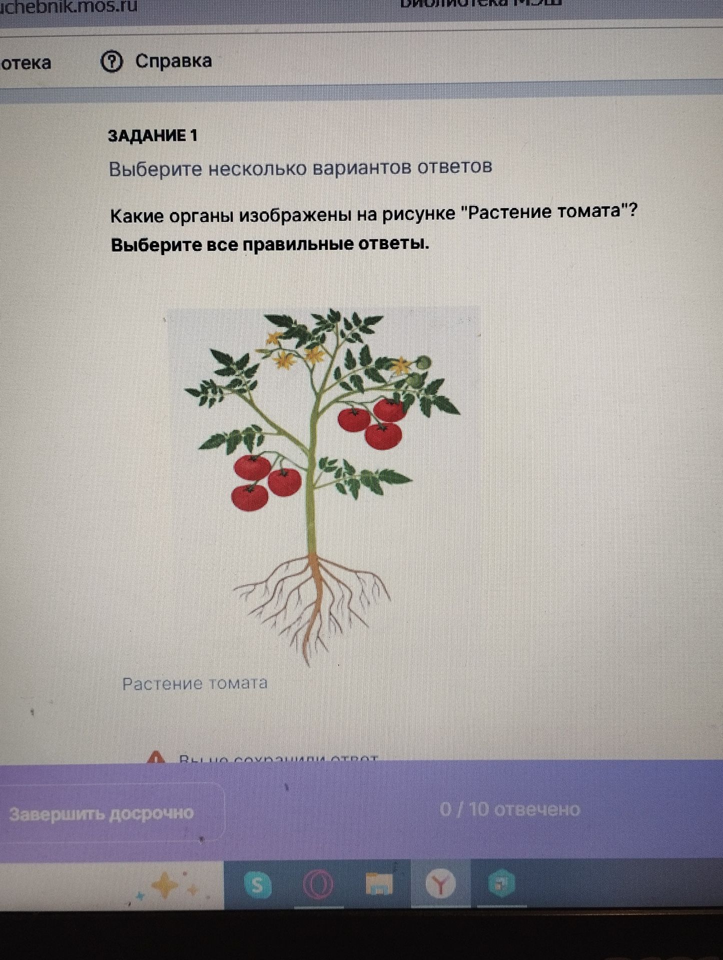 Фото задания: Задание 1. Какие органы изображены на рисунке «Растение томата»? Выберите все правильные ответы.