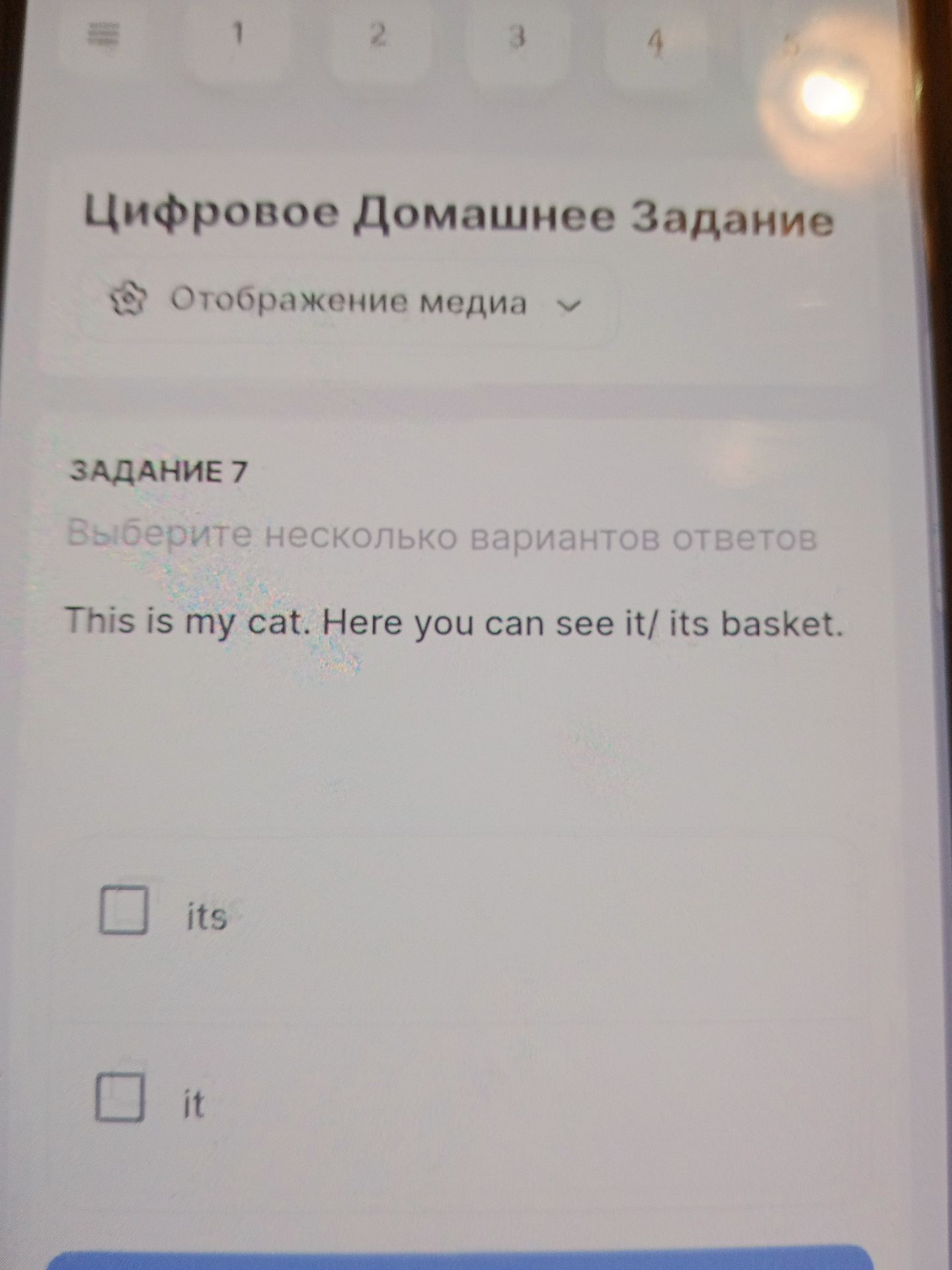 Фото задания: Задание 7. Выберите несколько вариантов ответов. This is my cat. Here you can see it/ its basket. Варианты: its, it.