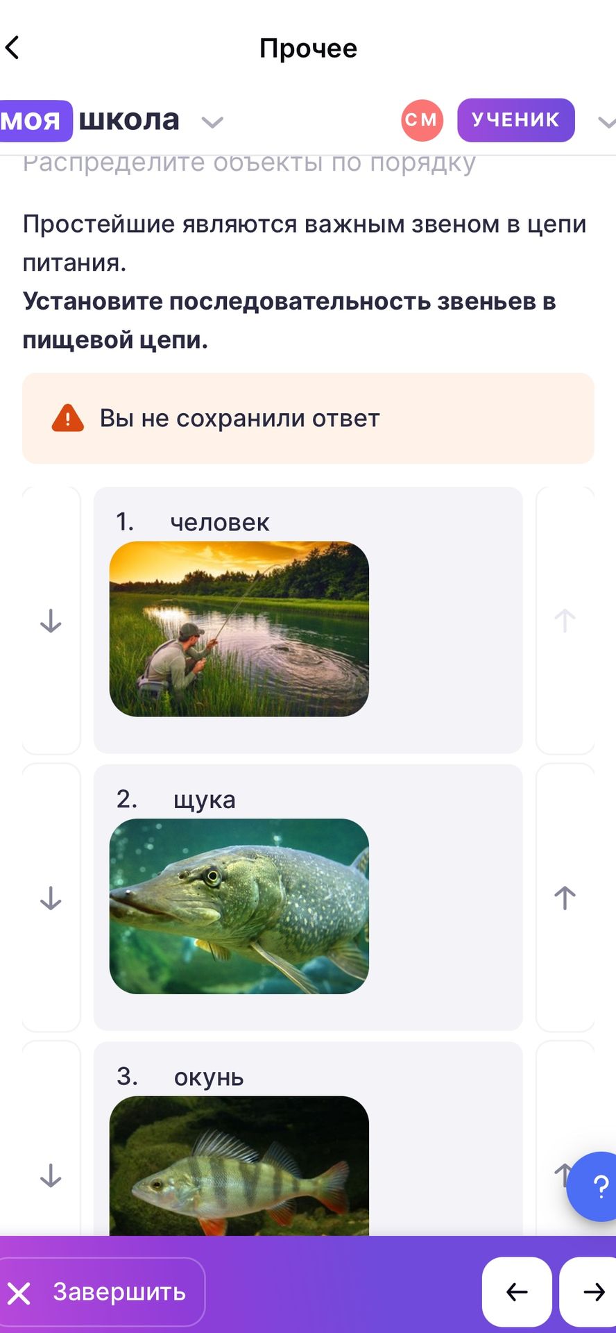 Фото задания: Простейшие являются важным звеном в цепи питания. Установите последовательность звеньев в пищевой цепи: человек, щука, окунь,…