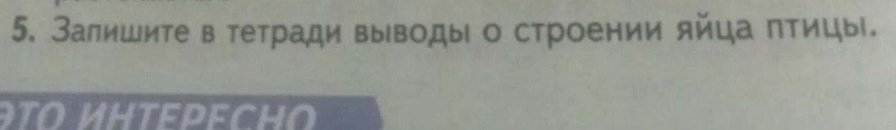 Фото задания: 5. Запишите в тетради выводы о строении яйца птицы.