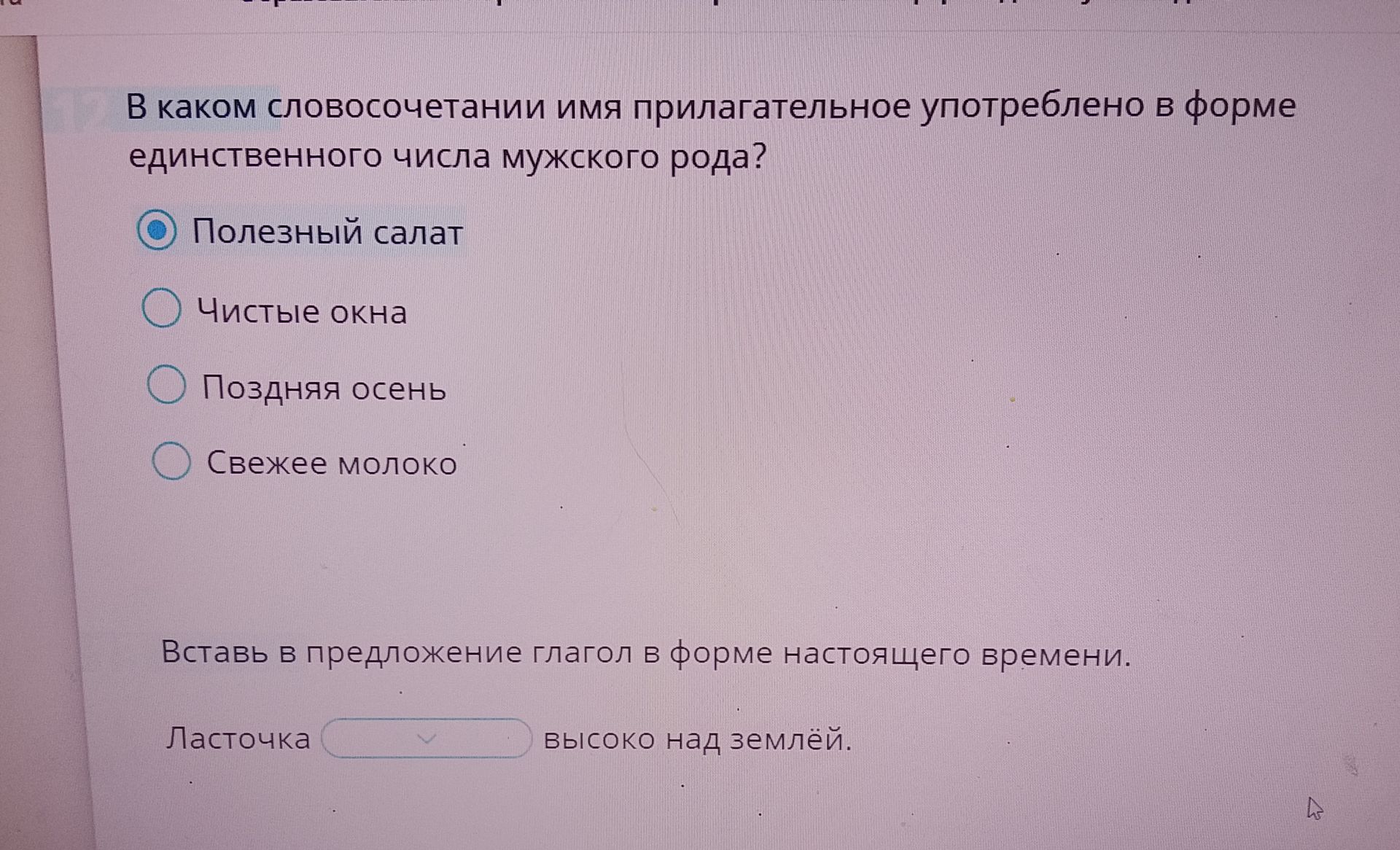 Фото задания: В каком словосочетании имя прилагательное употреблено в форме единственного числа мужского рода? Варианты: «Полезный…