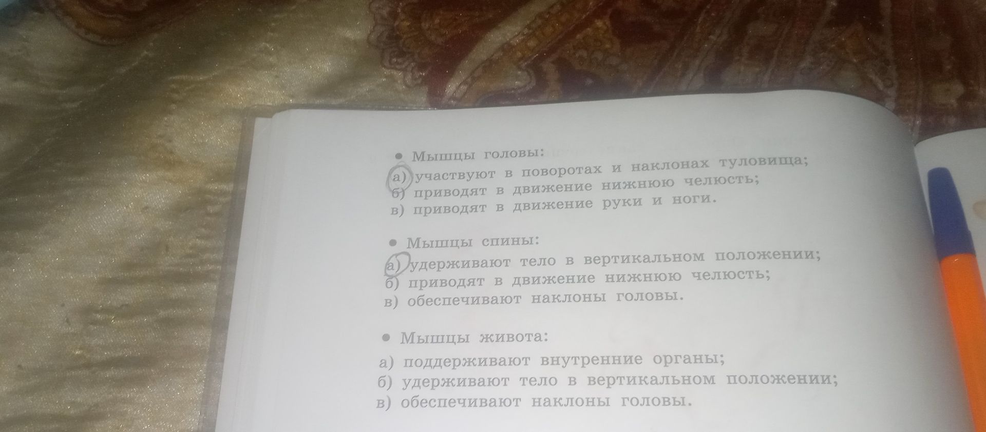Фото задания: Мышцы головы: а) участвуют в поворотах и наклонах туловища; б) приводят в движение нижнюю челюсть; в) приводят в движение…