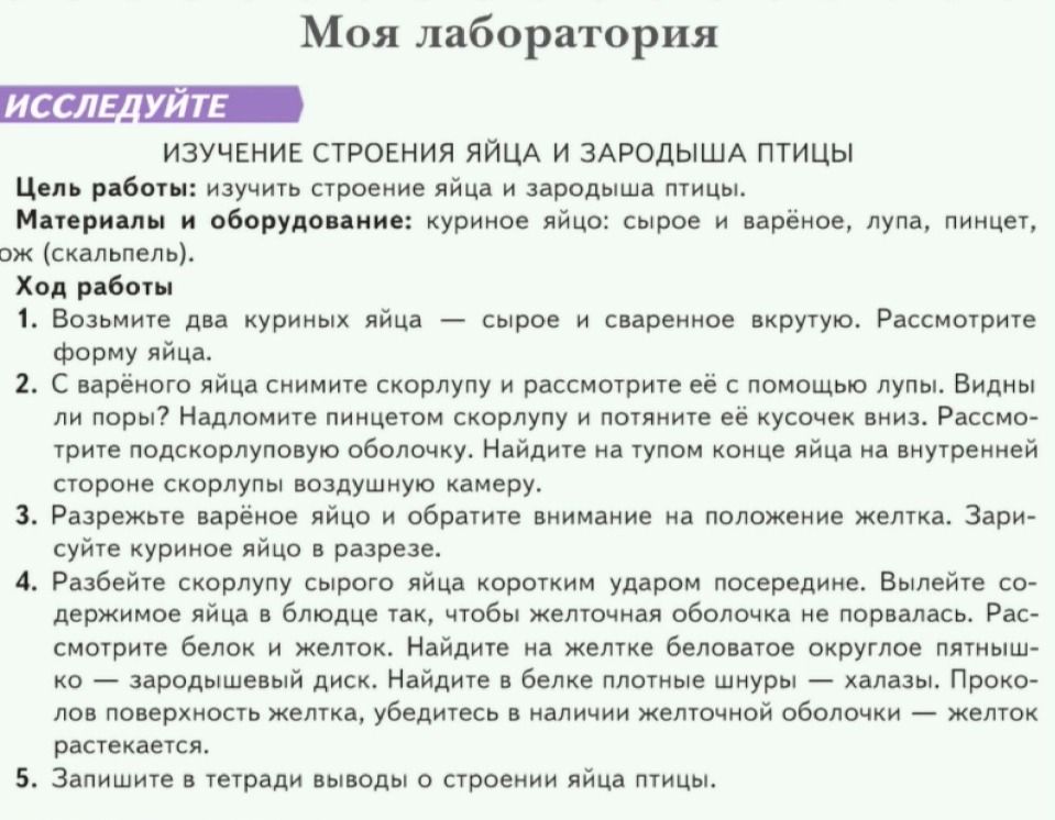 Фото задания: Моя лаборатория. Исследуйте: «Изучение строения яйца и зародыша птицы». Цель работы: изучить строение яйца и зародыша…