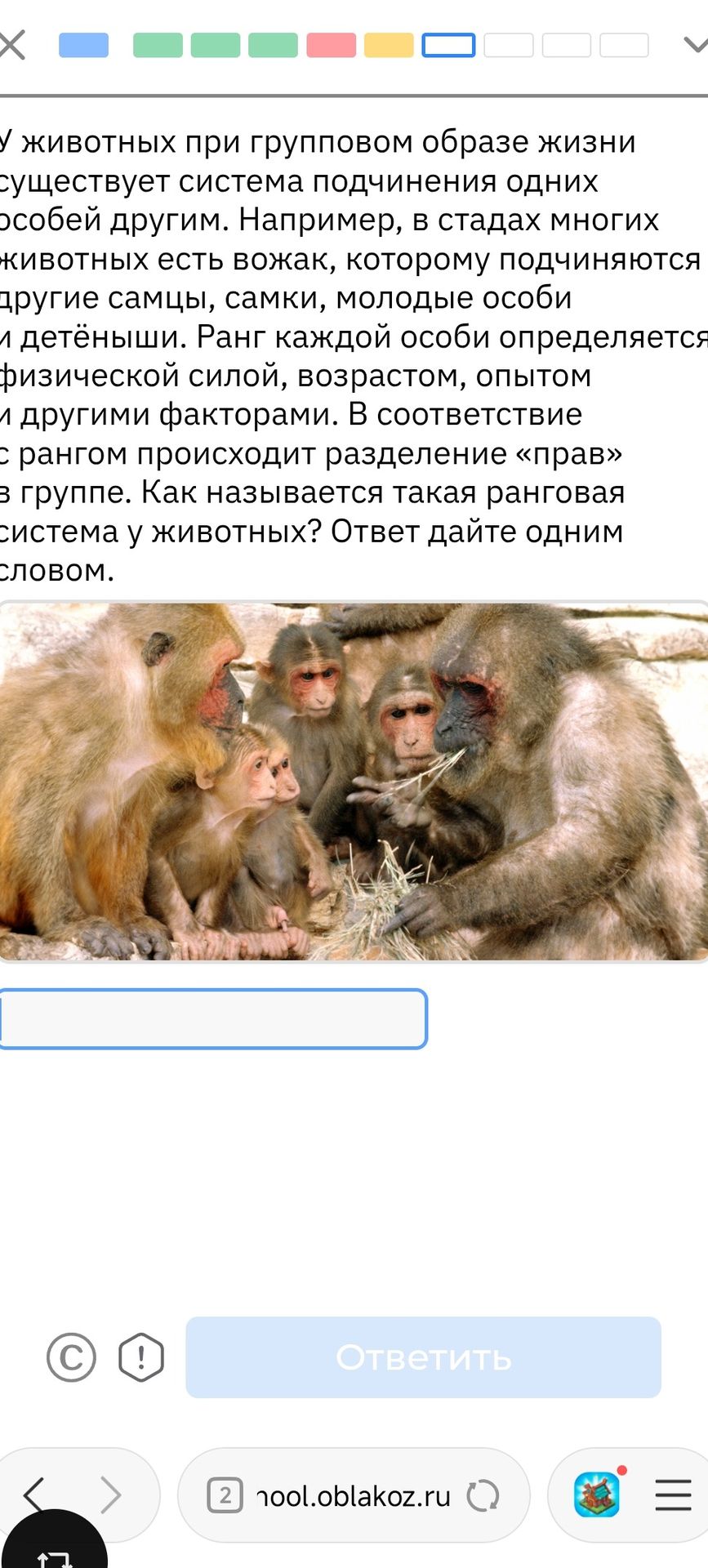 Фото задания: У животных при групповом образе жизни существует система подчинения одних особей другим. Например, в стадах многих животных…