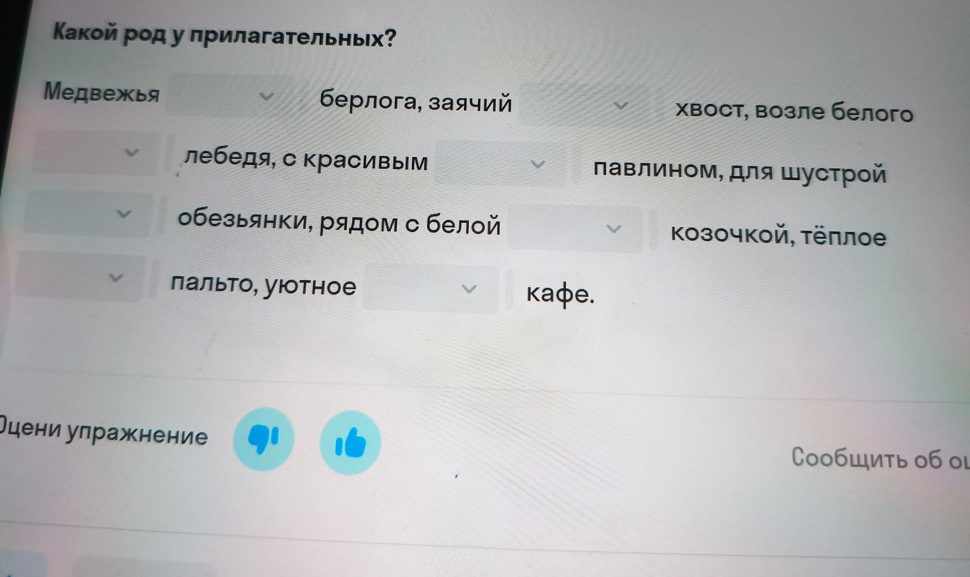 Фото задания: Какой род у прилагательных? Медвежья берлога, заячий хвост, возле белого лебедя, с красивым павлином, для шустрой…