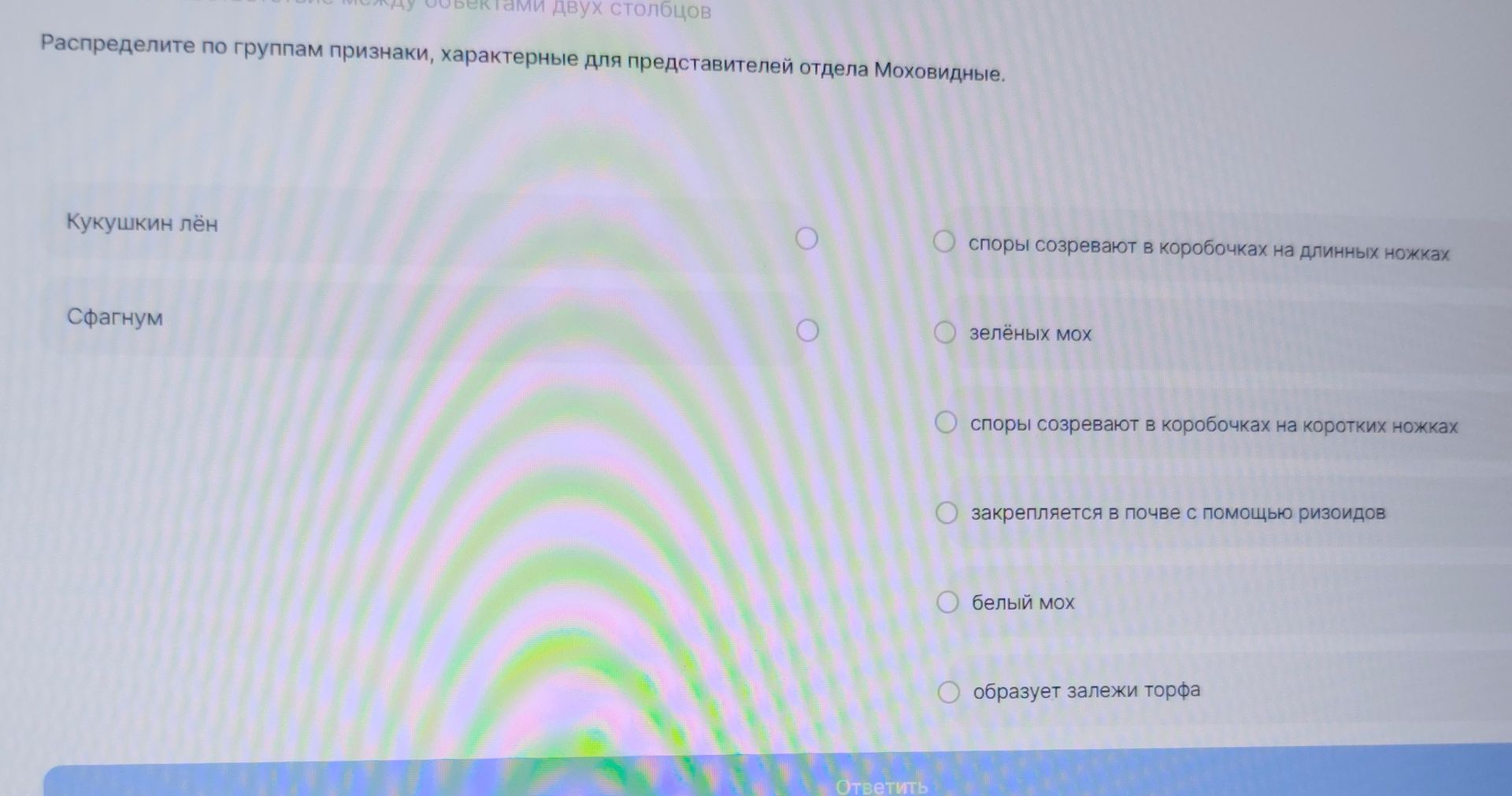 Фото задания: Распределите по группам признаки, характерные для представителей отдела Моховидные: кукушкин лён и сфагнум. Признаки: споры…