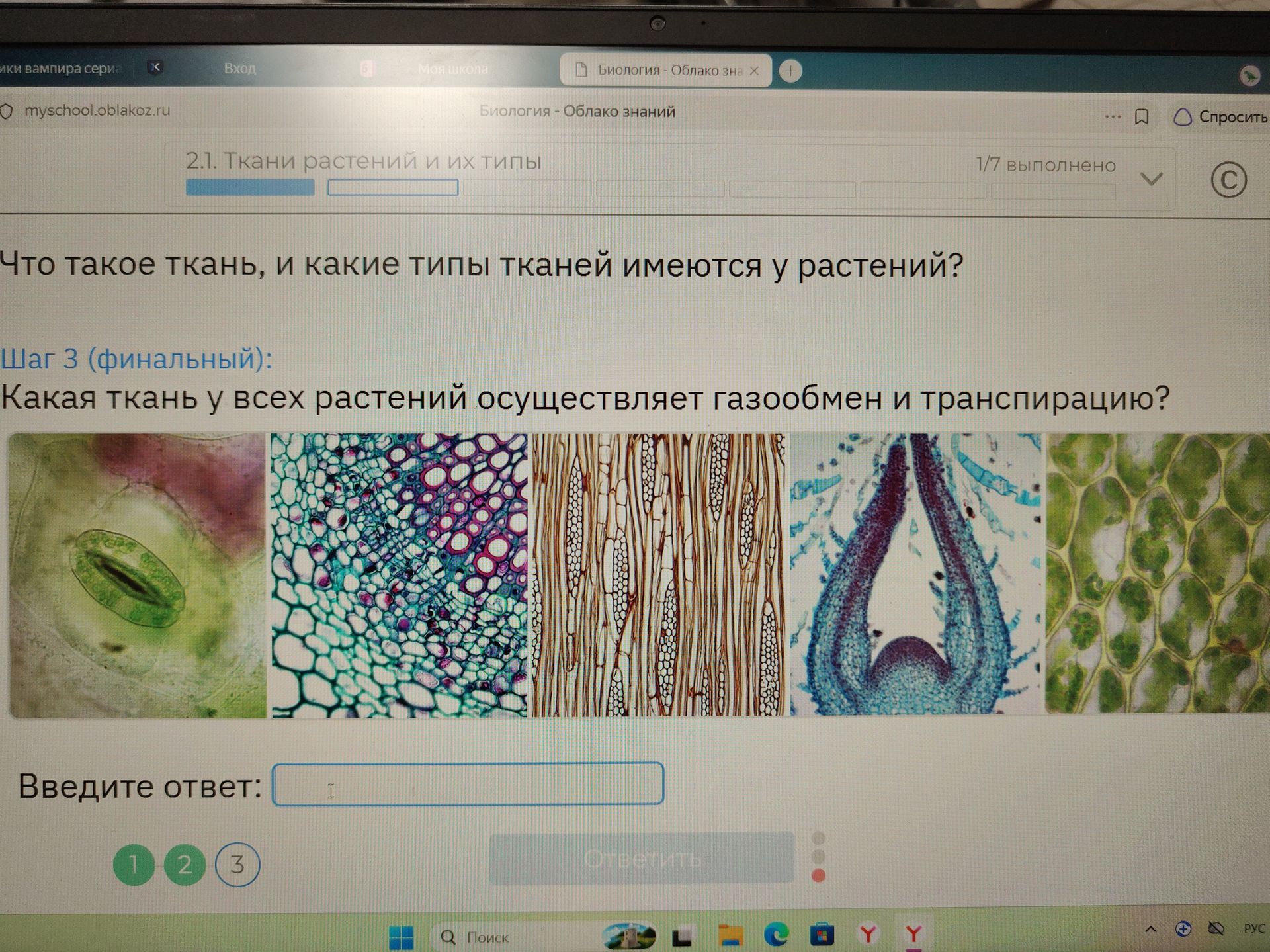 Фото задания: Какая ткань у всех растений осуществляет газообмен и транспирацию?