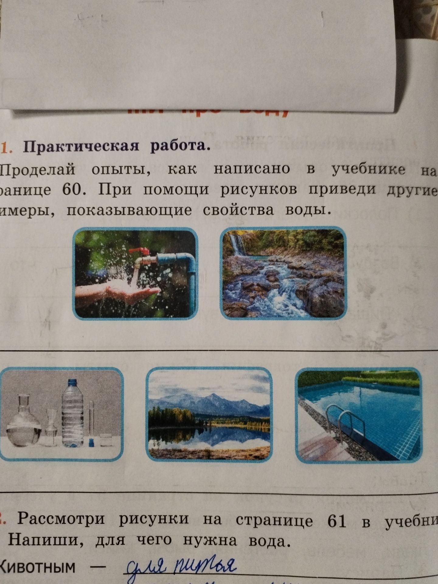 Фото задания: 2. Рассмотри рисунки на странице 61 в учебнике. Напиши, для чего нужна вода.