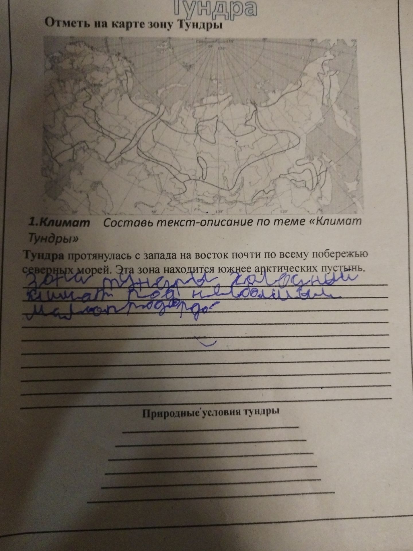 Фото задания: Природные условия тундры