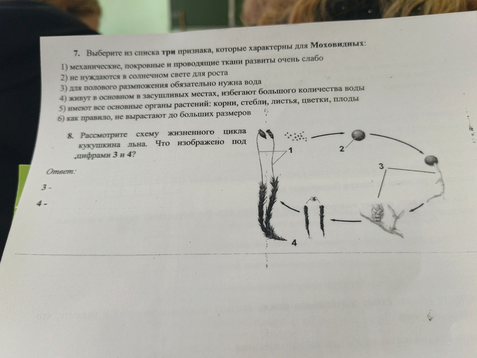 Фото задания: 8. Рассмотрите схему жизненного цикла кукушкина льна. Что изображено под цифрами 3 и 4?