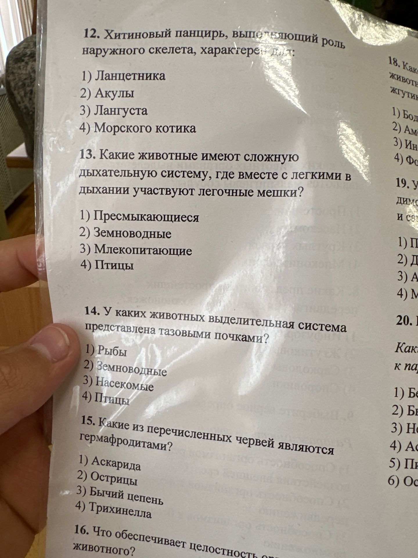 Фото задания: 13. Какие животные имеют сложную дыхательную систему, где вместе с лёгкими в дыхании участвуют лёгочные мешки? 1)…