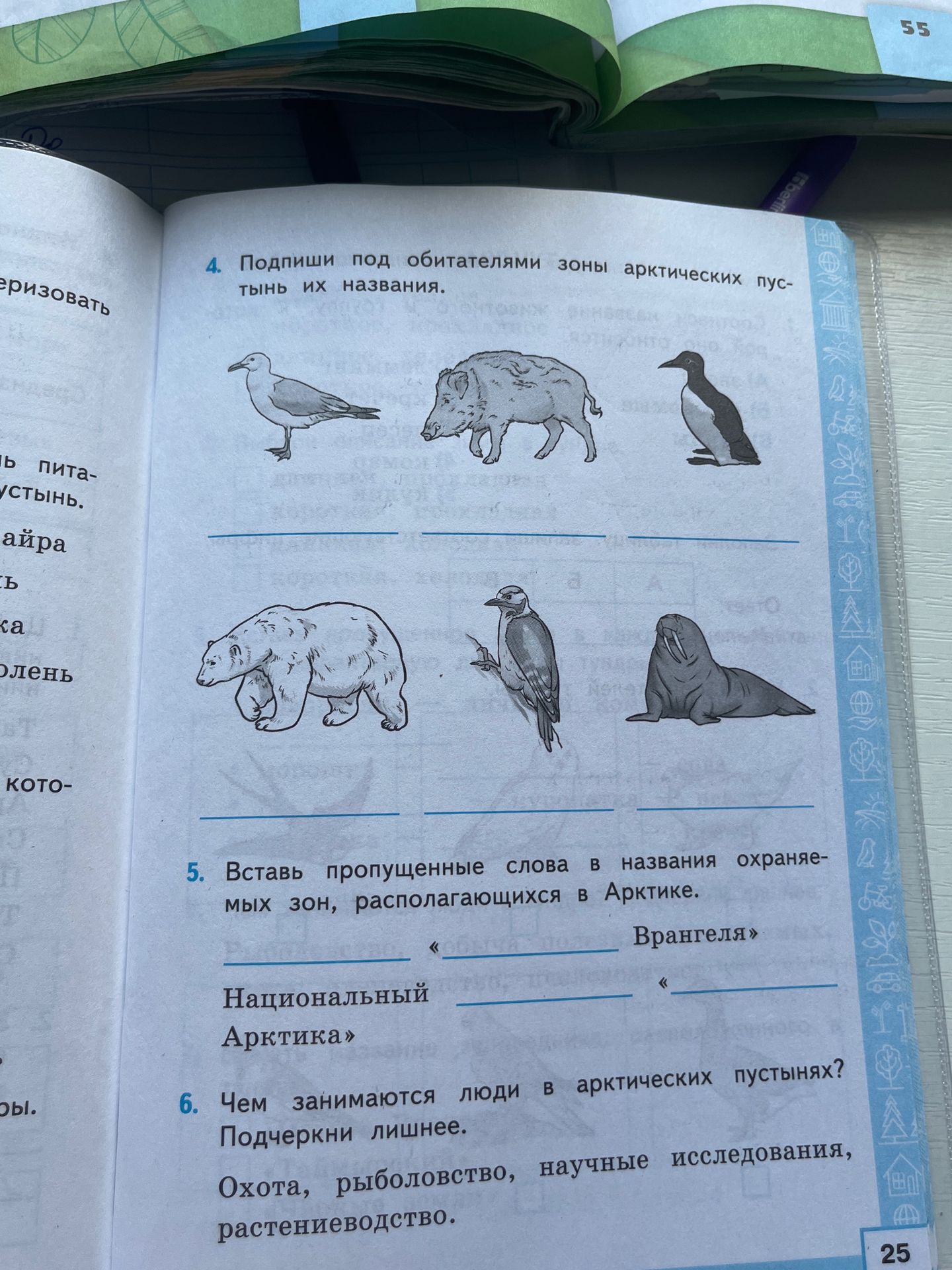 Фото задания: 5. Вставь пропущенные слова в названия охраняемых зон, располагающихся в Арктике: ___ «___ Врангеля»; Национальный ___ «___…