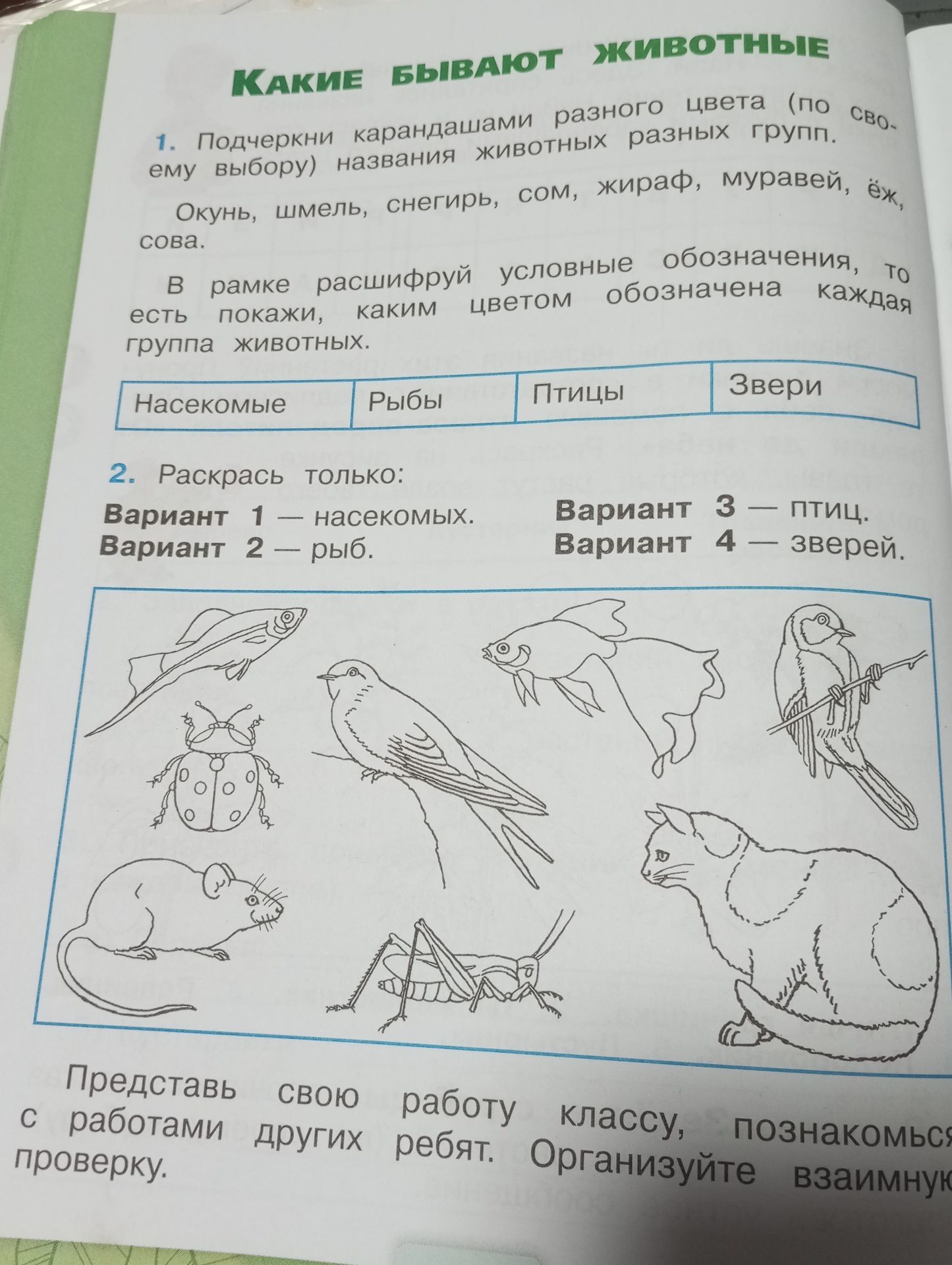 Фото задания: 1. Подчеркни карандашами разного цвета (по своему выбору) названия животных разных групп: окунь, шмель, снегирь, сом,…