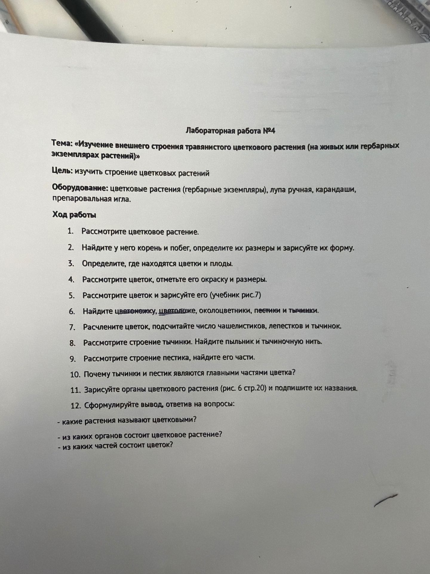Фото задания: Лабораторная работа №4. Тема: «Изучение внешнего строения травянистого цветкового растения (на живых или гербарных…
