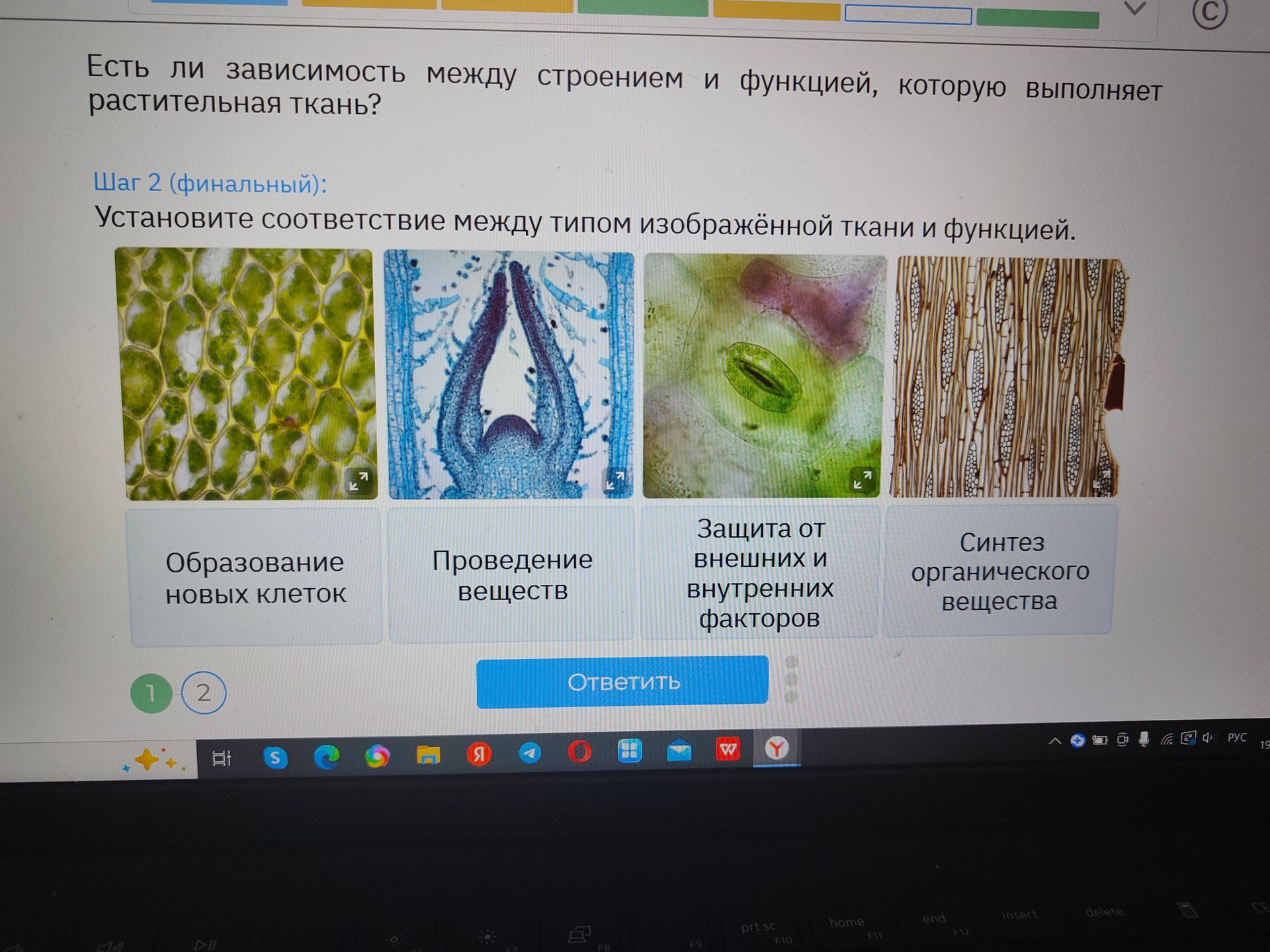 Фото задания: Есть ли зависимость между строением и функцией, которую выполняет растительная ткань? Установите соответствие между типом…