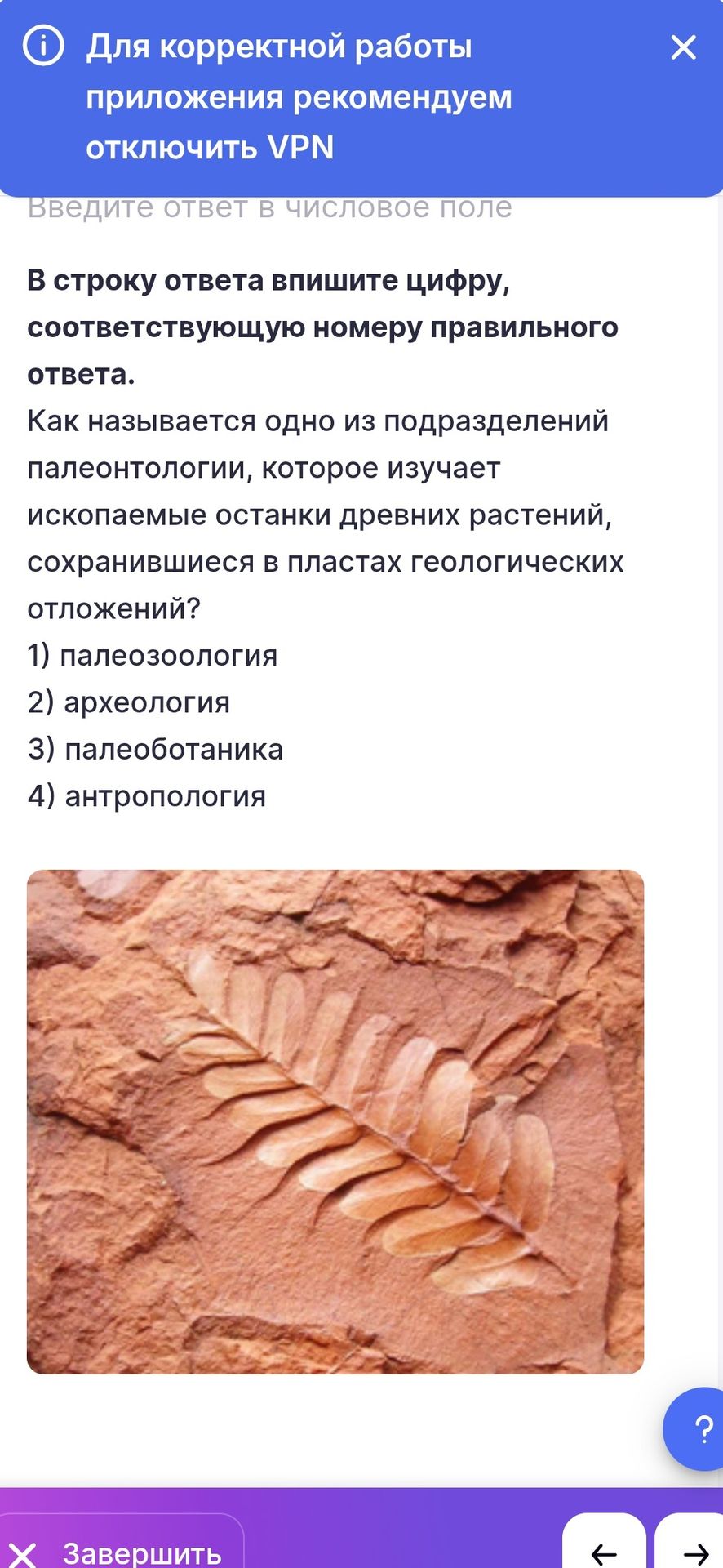 Фото задания: В строку ответа впишите цифру, соответствующую номеру правильного ответа. Как называется одно из подразделений палеонтологии,…