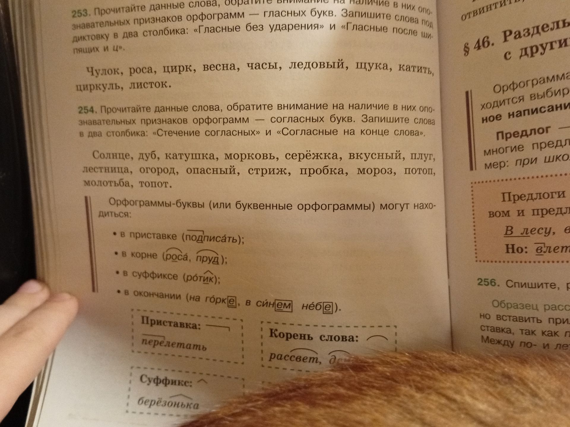 Фото задания: 253. Прочитайте данные слова, обратите внимание на наличие в них опознавательных признаков орфограмм — гласных букв. Запишите…