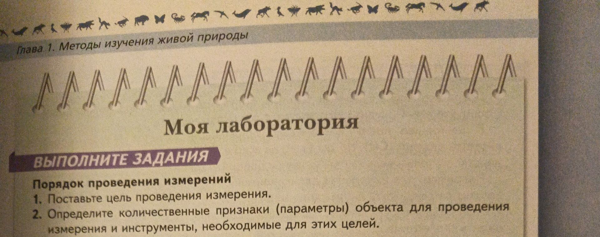 Фото задания: «Моя лаборатория». Выполните задания. Порядок проведения измерений: 1. Поставьте цель проведения измерения. 2. Определите…
