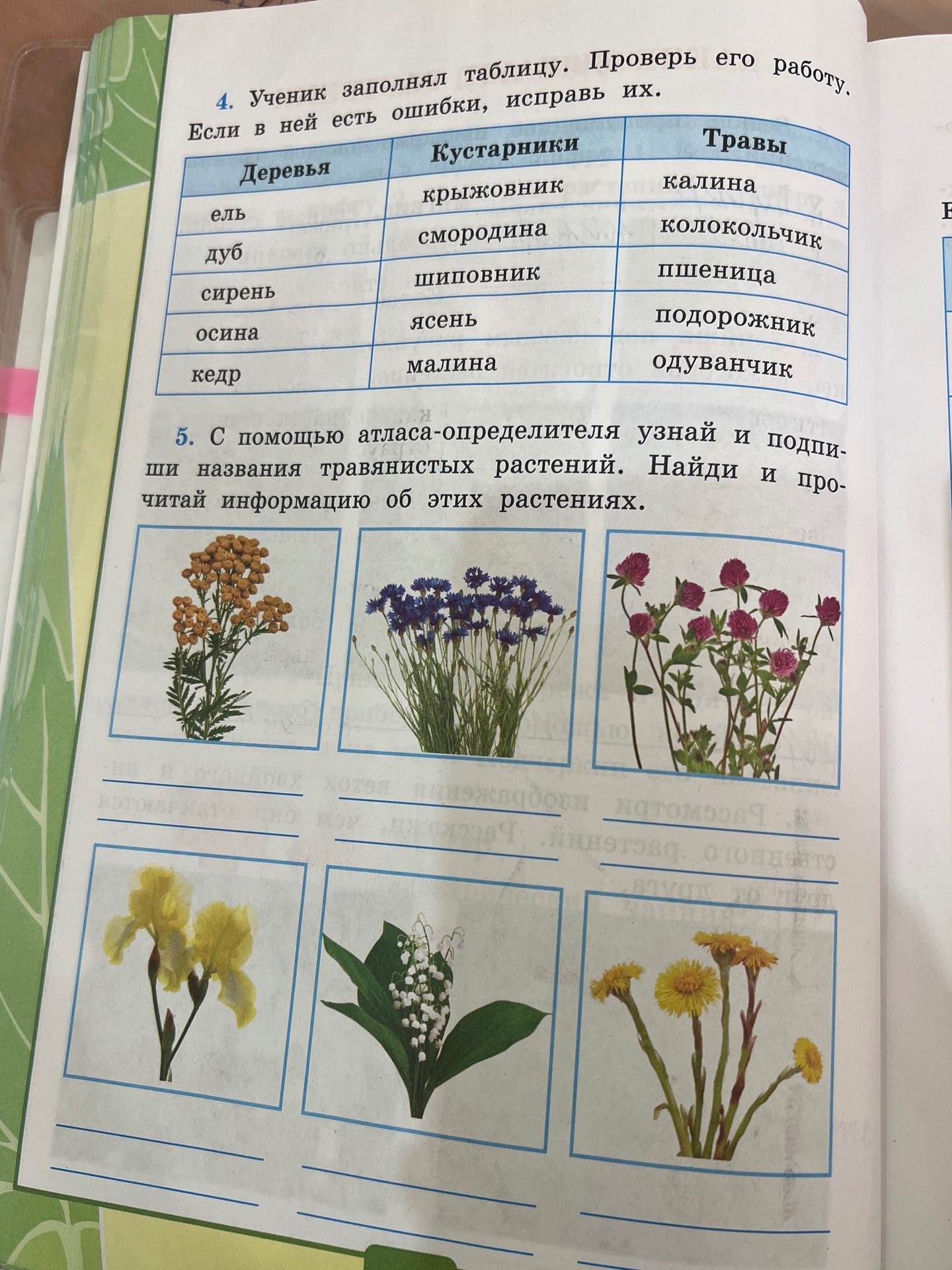 Фото задания: 4. Ученик заполнял таблицу. Проверь его работу. Если в ней есть ошибки, исправь их.