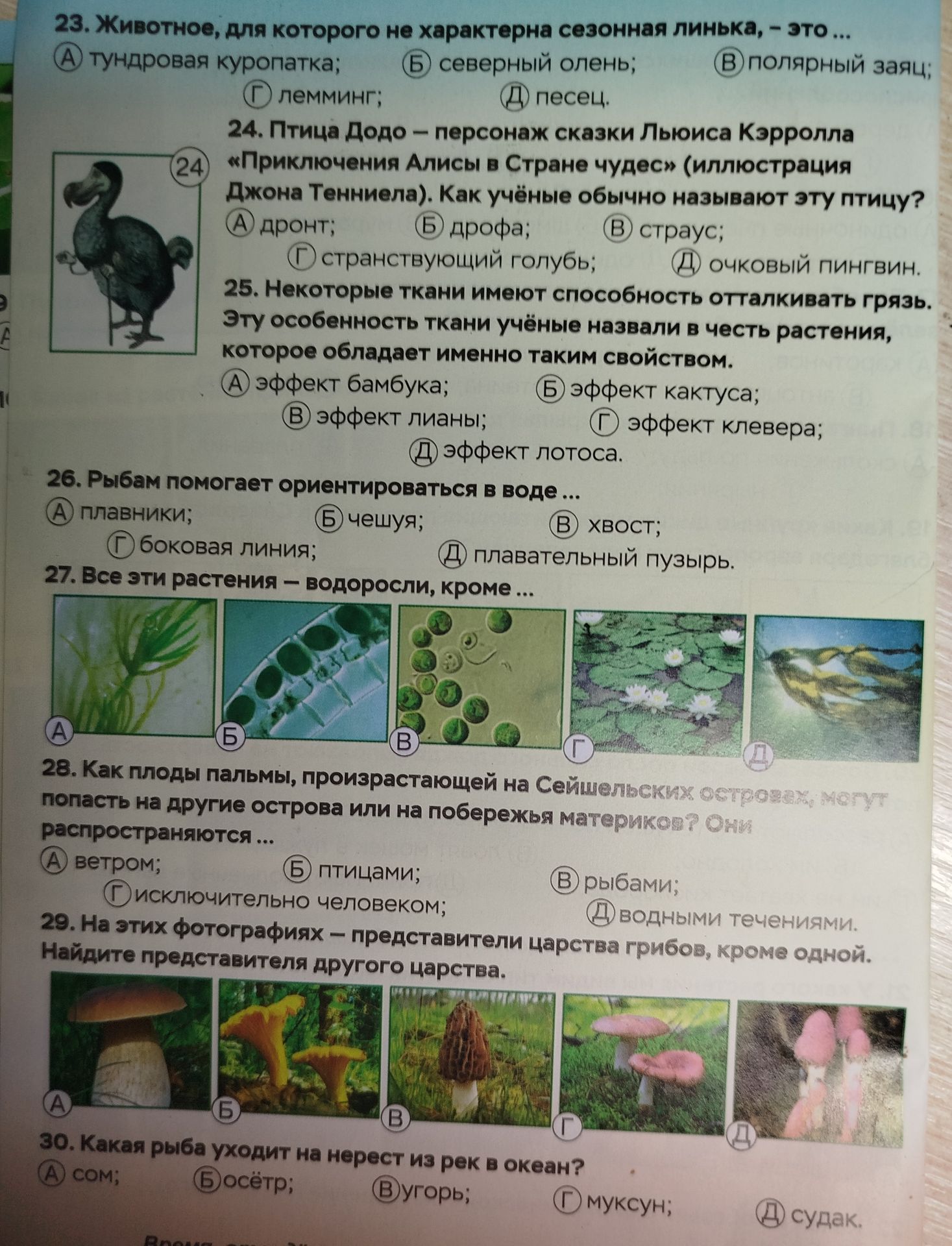 Фото задания: 26. Рыбам помогает ориентироваться в воде … А) плавники; Б) чешуя; В) хвост; Г) боковая линия; Д) плавательный пузырь.