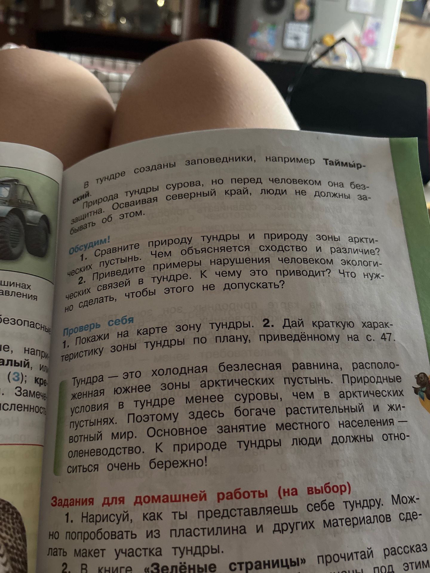 Фото задания: Задания для домашней работы (на выбор). 1. Нарисуй, как ты представляешь себе тундру. Можно попробовать из пластилина и…