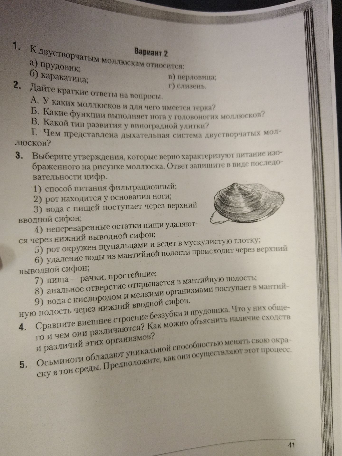 Фото задания: 1. К двустворчатым моллюскам относится: а) прудовик; б) каракатица; в) перловица; г) слизень.