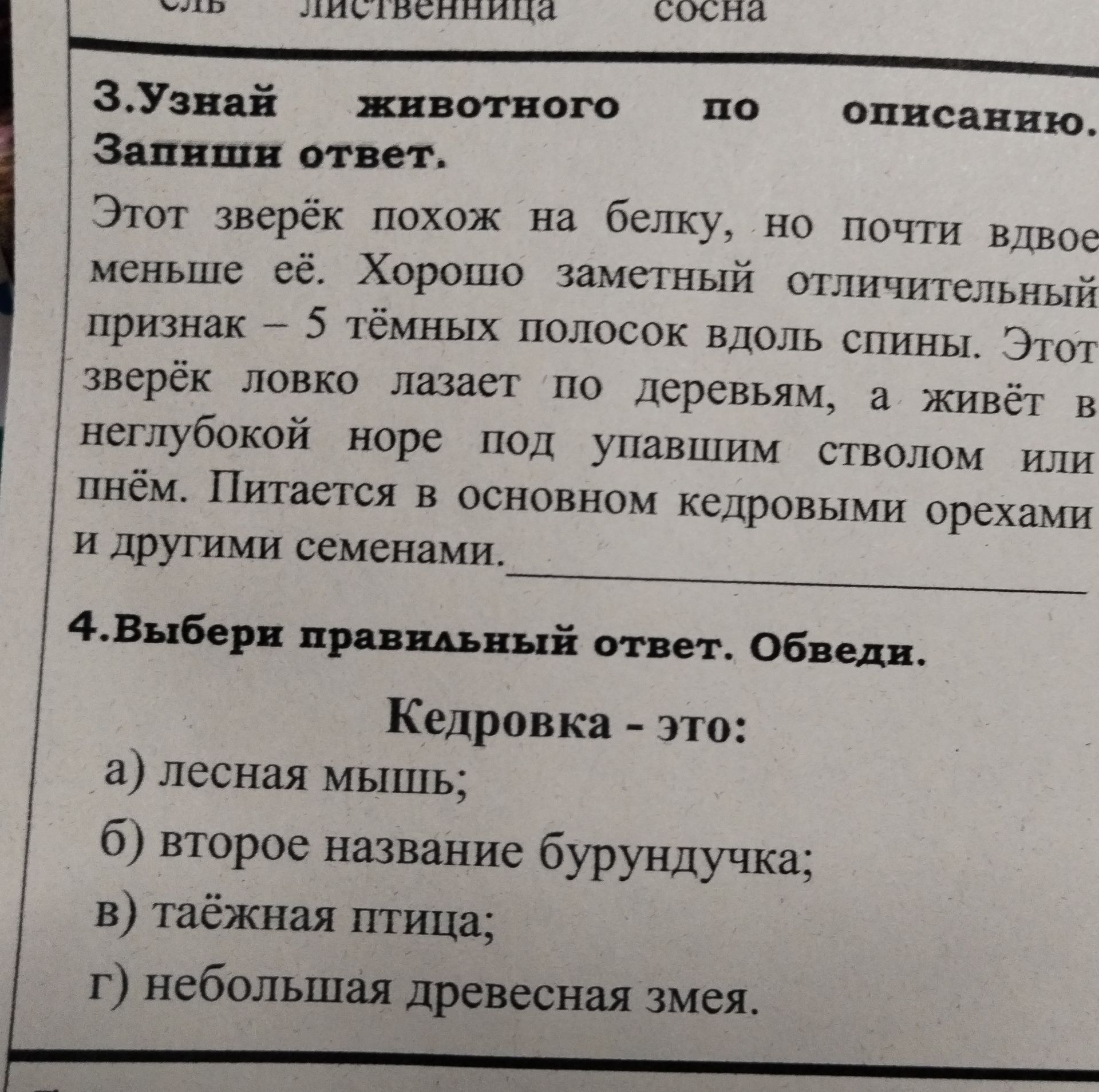 Фото задания: 4. Выбери правильный ответ. Обведи. Кедровка — это: а) лесная мышь; б) второе название бурундука; в) таёжная птица; г)…