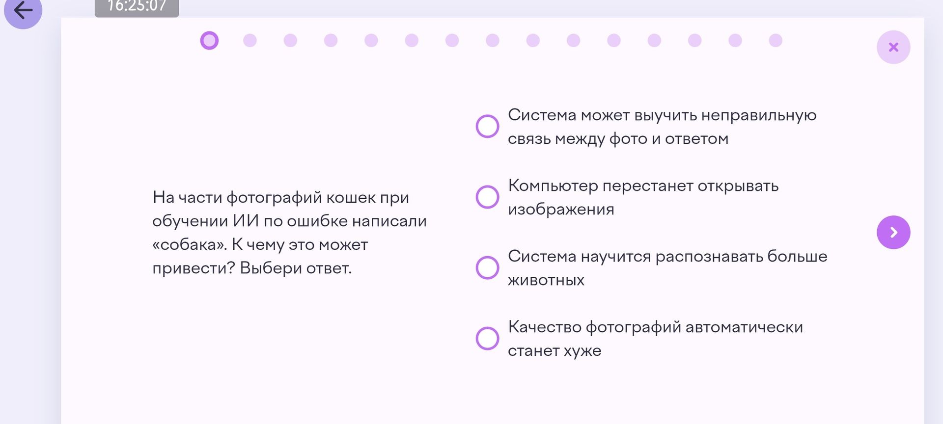 Фото задания: На части фотографий кошек при обучении ИИ по ошибке написали «собака». К чему это может привести? Выбери ответ.
