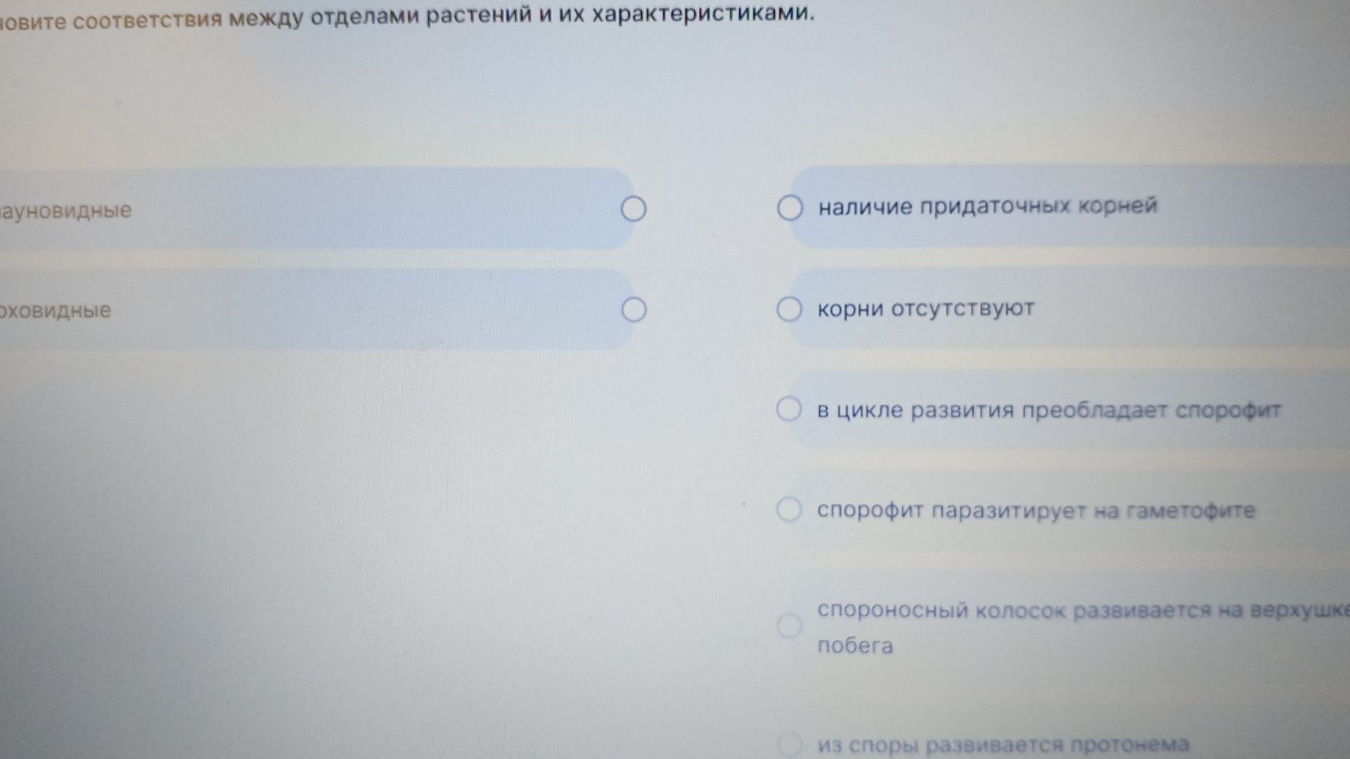 Фото задания: Установите соответствия между отделами растений и их характеристиками. Видны отделы: плауновидные, моховидные.…