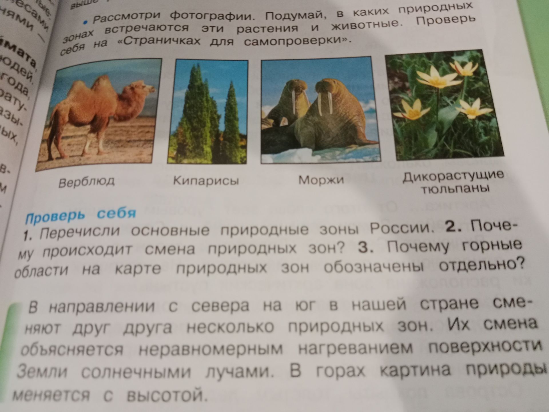 Фото задания: Рассмотри фотографии. Подумай, в каких природных зонах встречаются эти растения и животные.