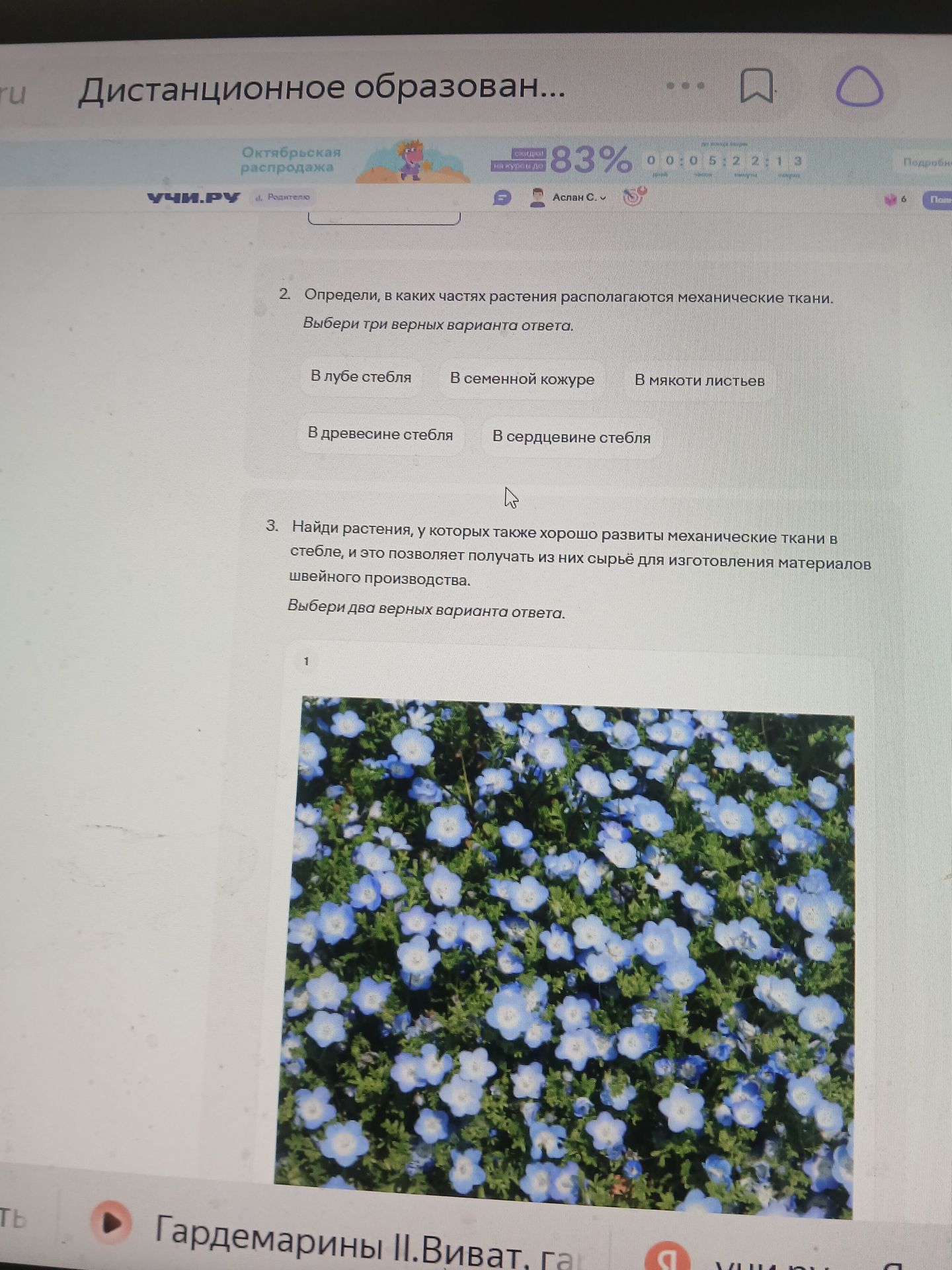 Фото задания: 3. Найди растения, у которых также хорошо развиты механические ткани в стебле, и это позволяет получать из них сырьё для…