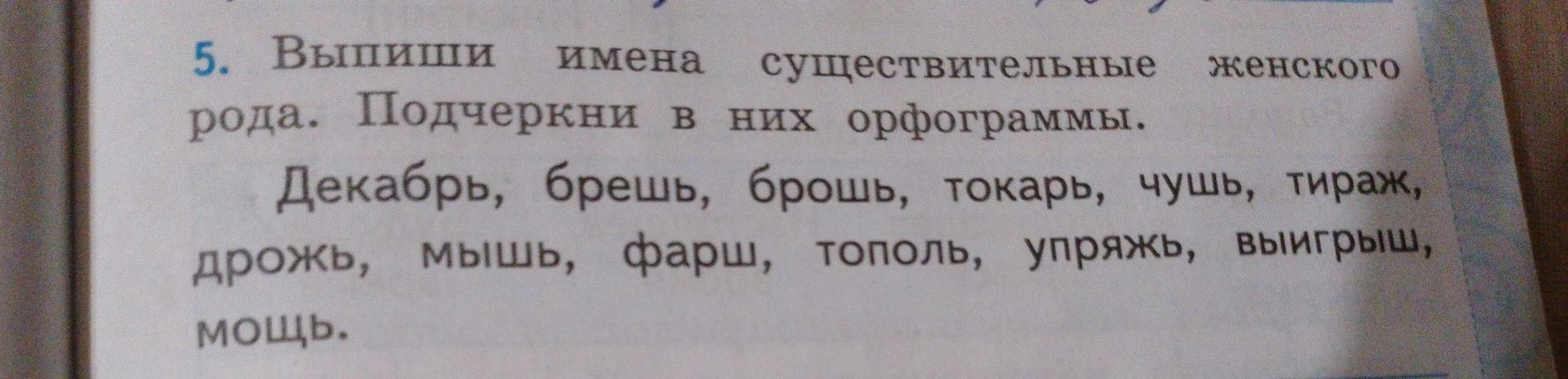 Фото задания: 5. Выпиши имена существительные женского рода. Подчеркни в них орфограммы. Декабрь, брешь, брошь, токарь, чушь, тираж, дрожь,…