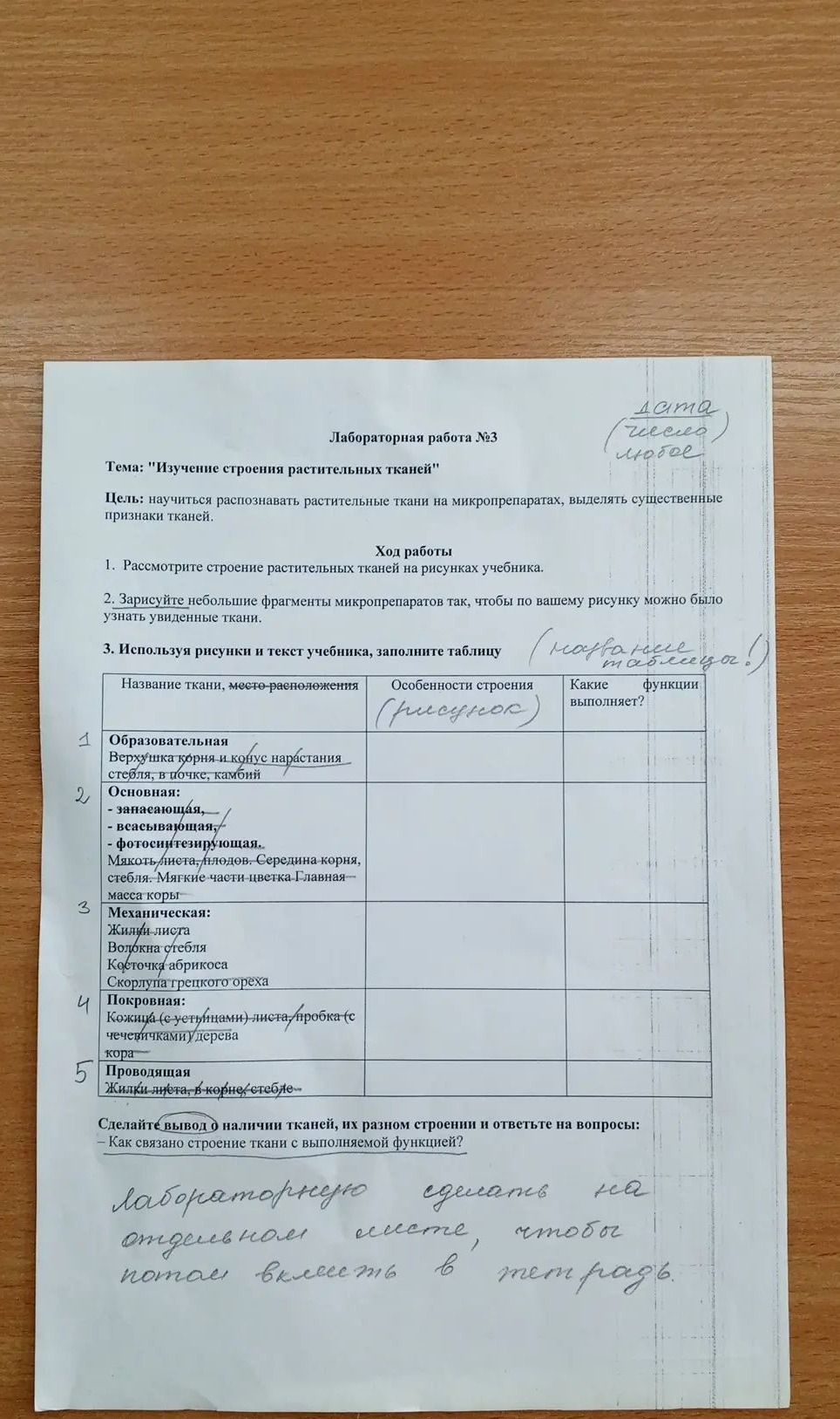 Фото задания: Лабораторная работа № 3. Тема: «Изучение строения растительных тканей». Цель: научиться распознавать растительные ткани на…
