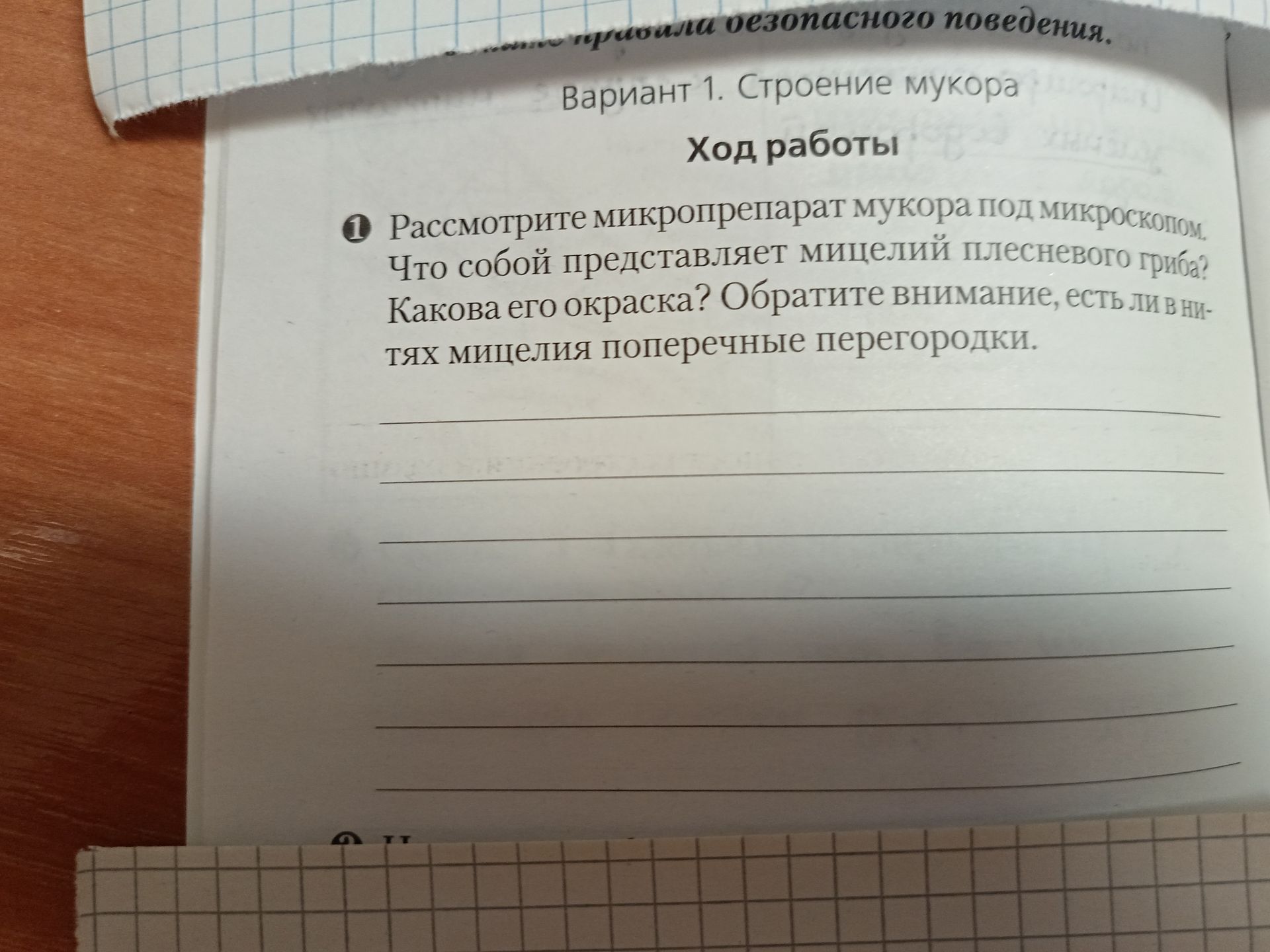 Фото задания: 1. Рассмотрите микропрепарат мукора под микроскопом. Что собой представляет мицелий плесневого гриба? Какова его окраска?…